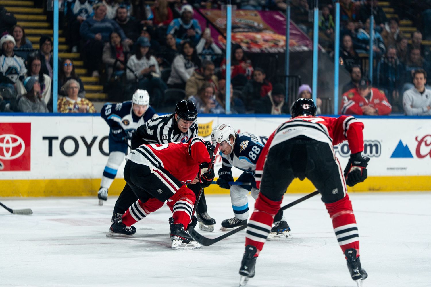 Hockey players from opposing teams chase after the puck near the boards.