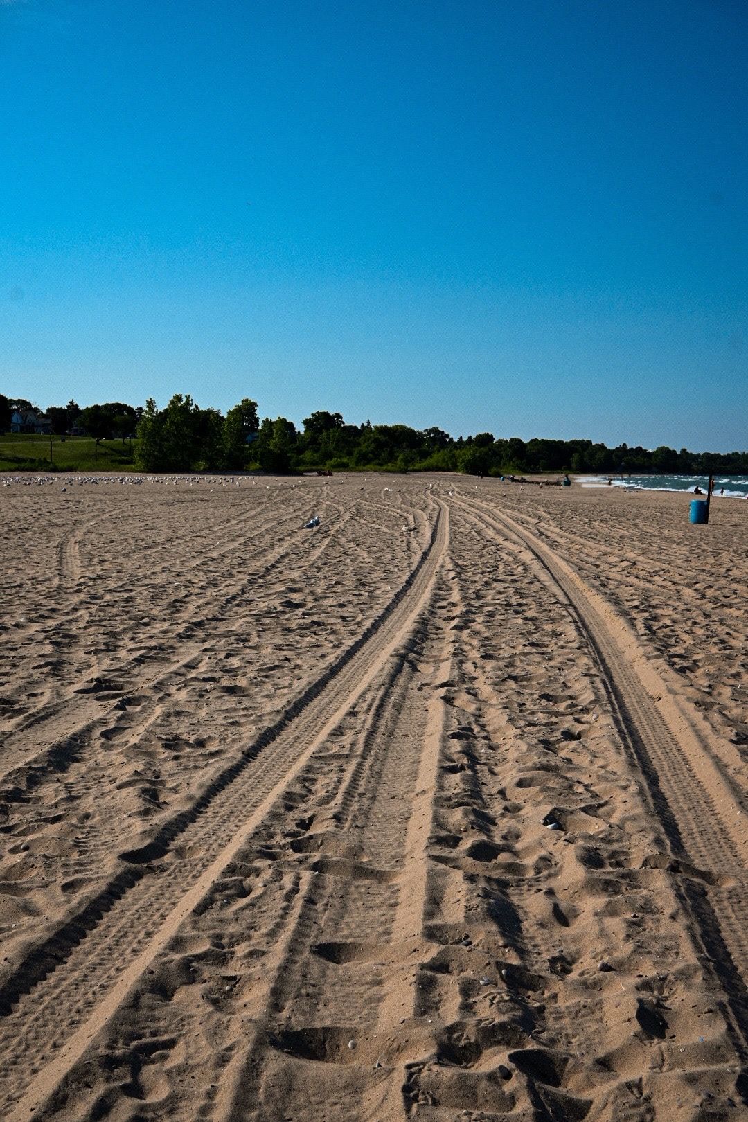 Tire tracks winding through sandy beach under bright blue sky.