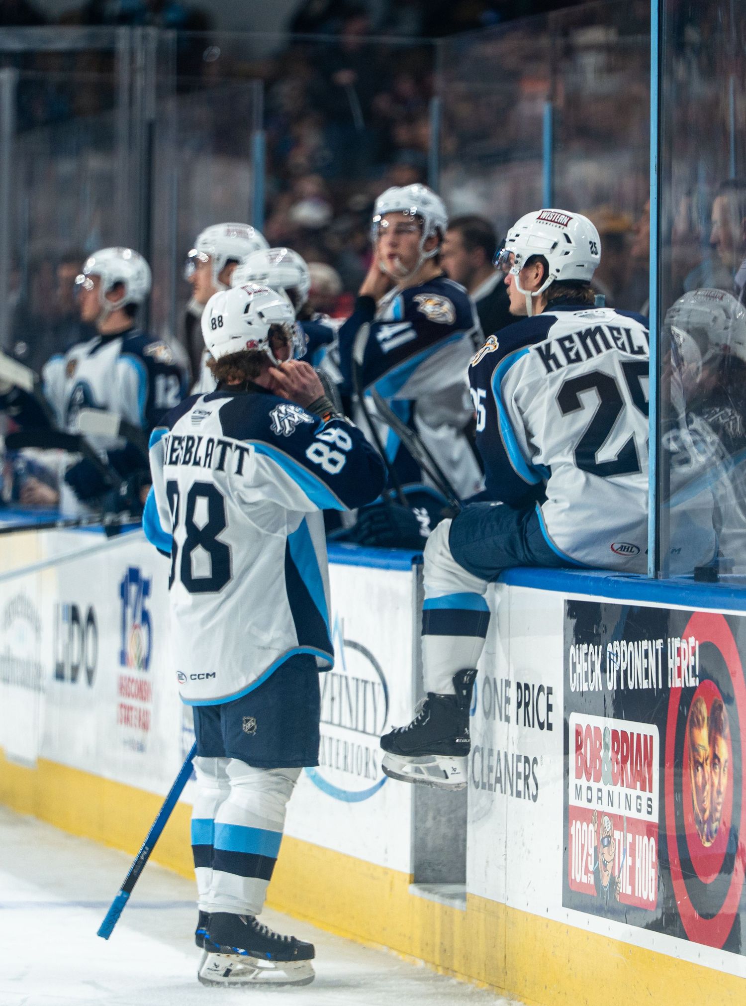 Hockey players celebrate along the boards during an exciting moment in the game.