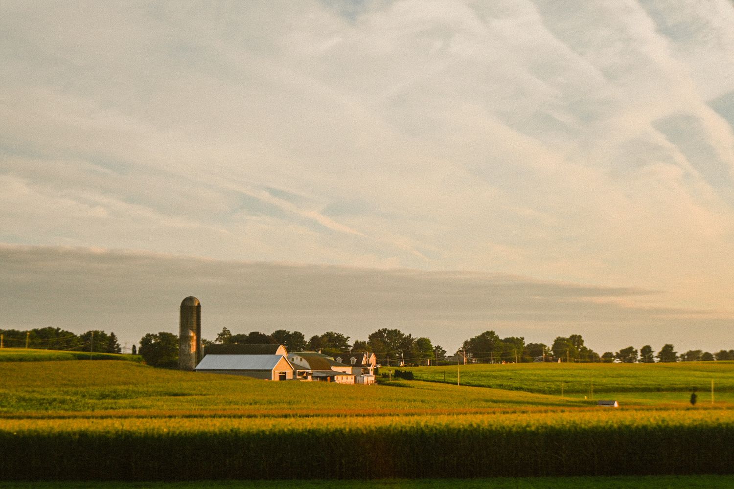 A panoramic view of rolling farmland with golden wheat fields and a white farmhouse with silos in the distance.