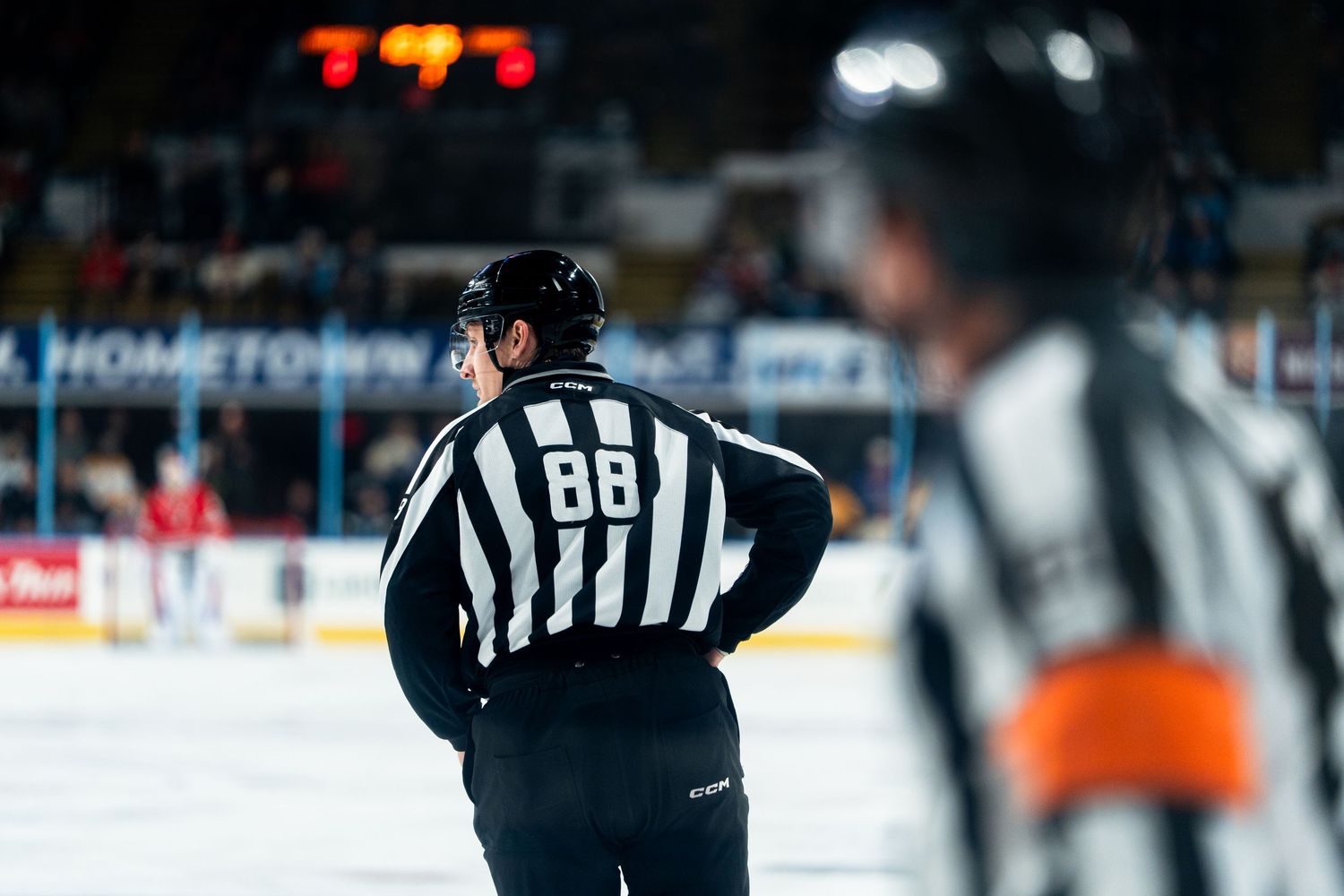 Hockey referee in striped uniform stands on ice during game.