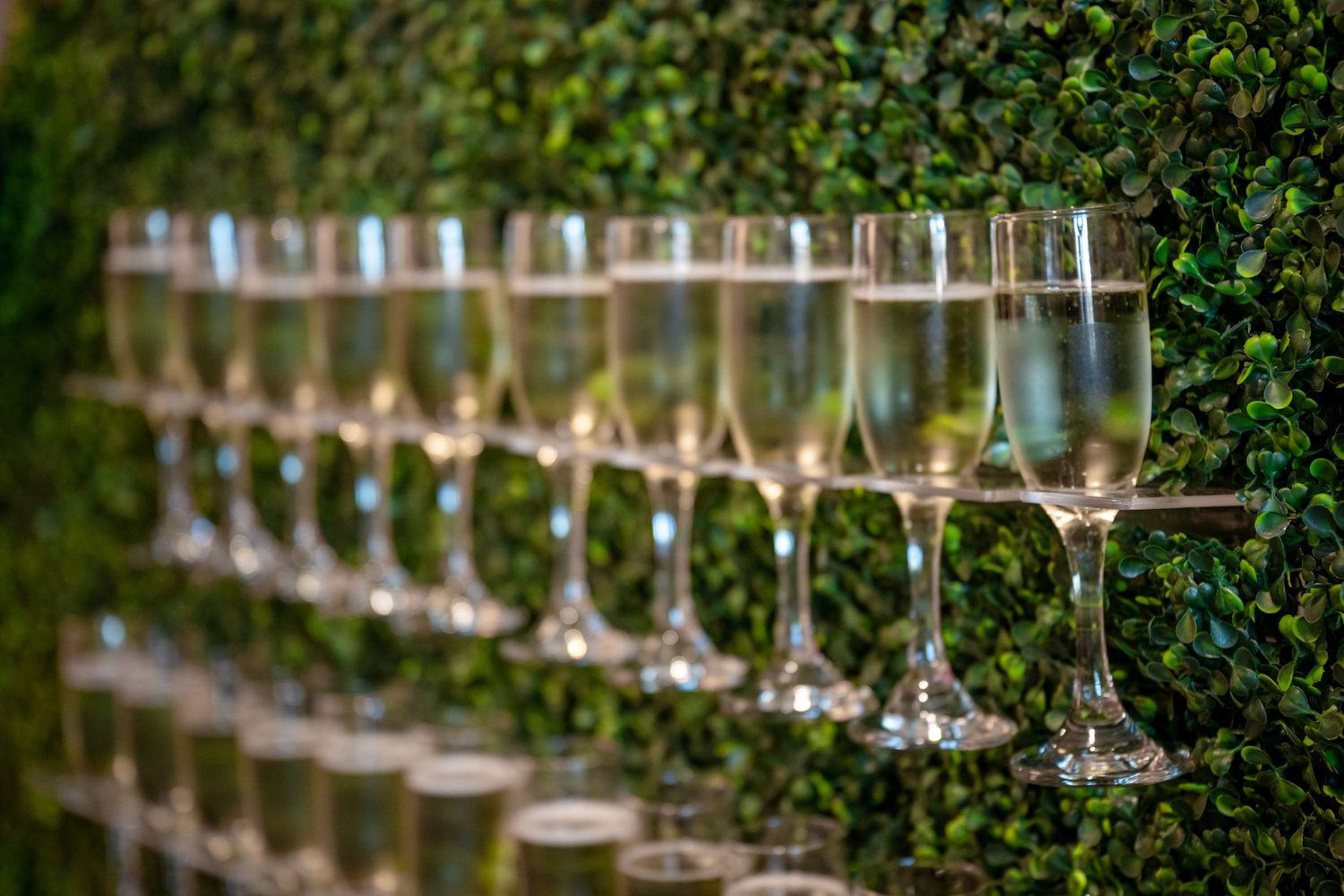 Elegant champagne flutes lined up on a lush green hedge wall at a sophisticated event or wedding reception.
