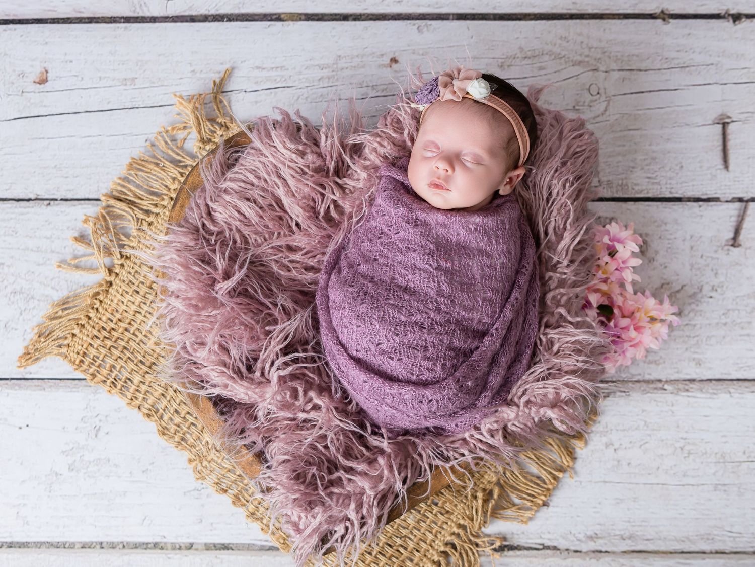 Newborn Studio Photography