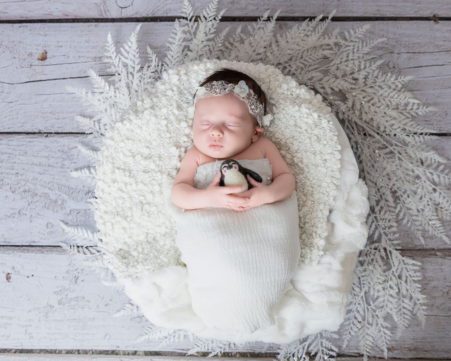 Newborn Studio Photography