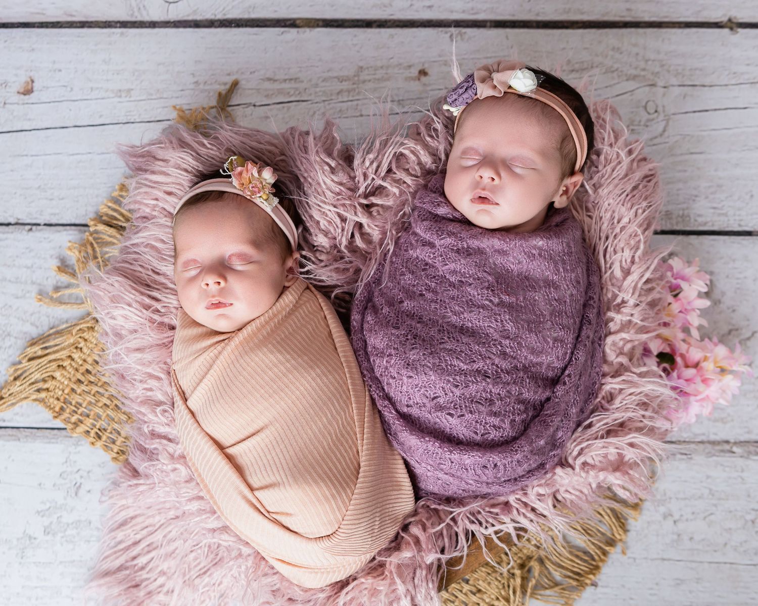 Newborn Studio Photography