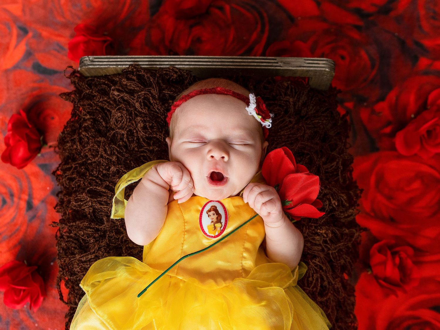 Newborn Studio Photography