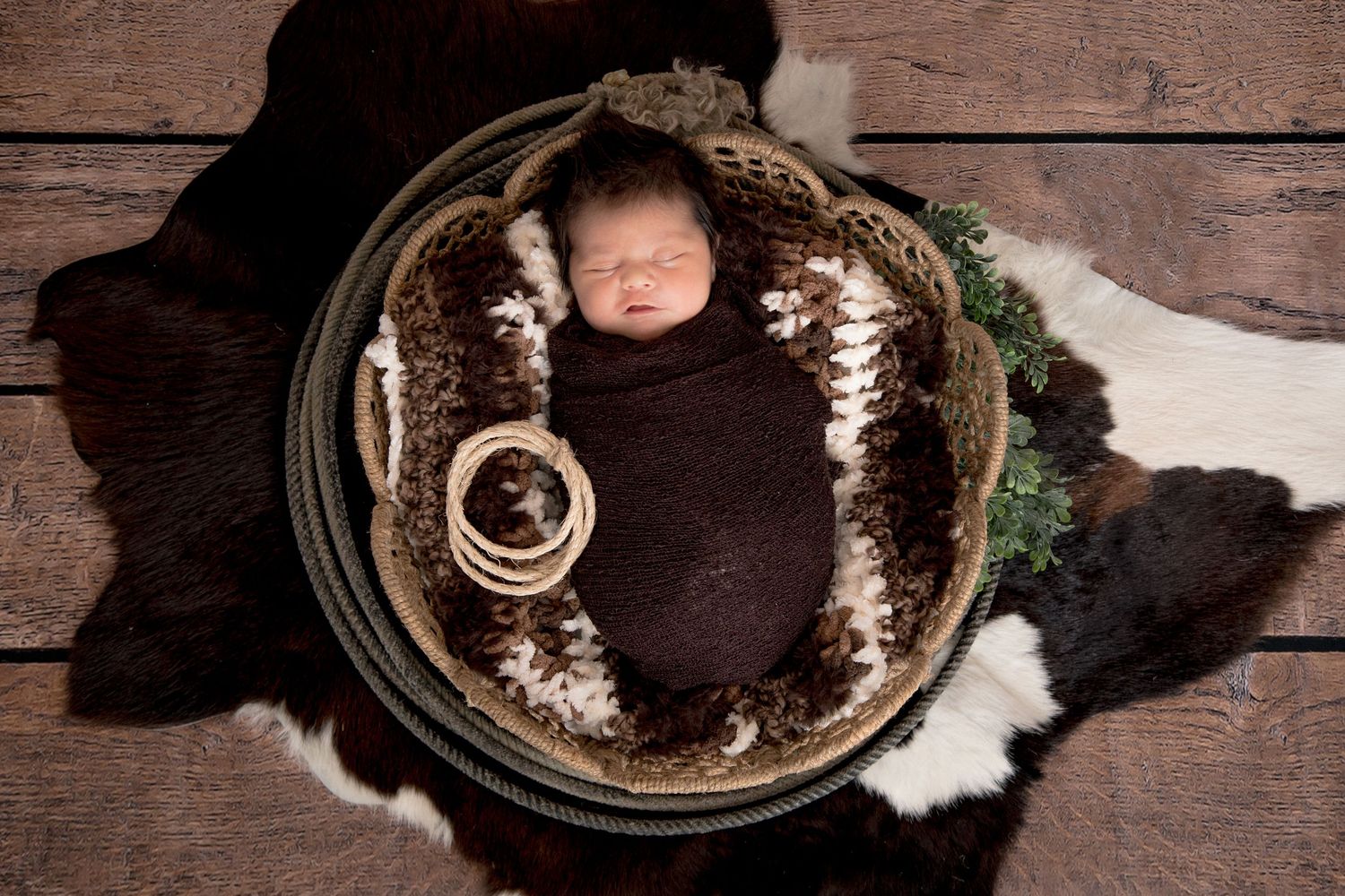 Newborn Studio Photography