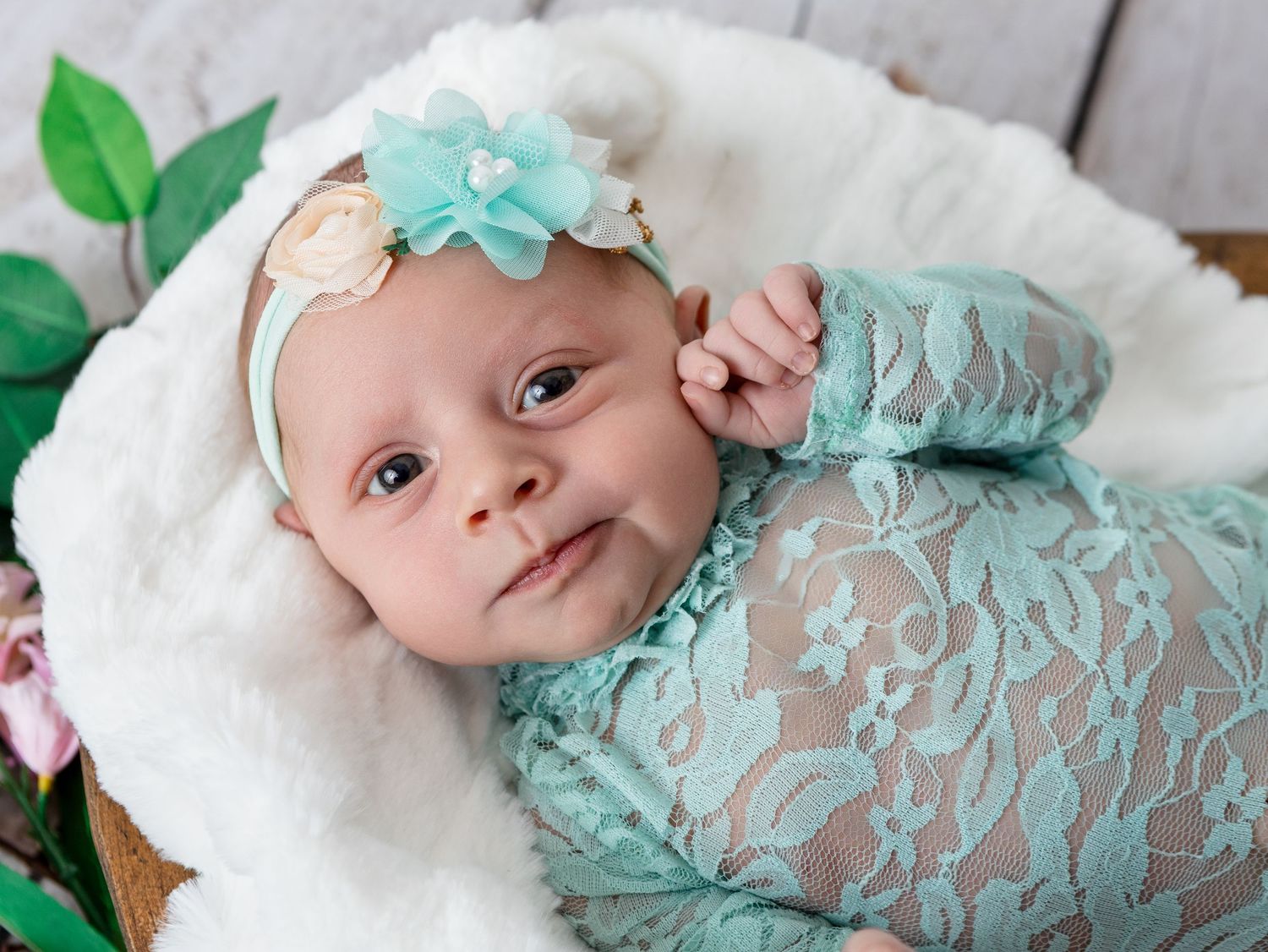 Newborn Studio Photography