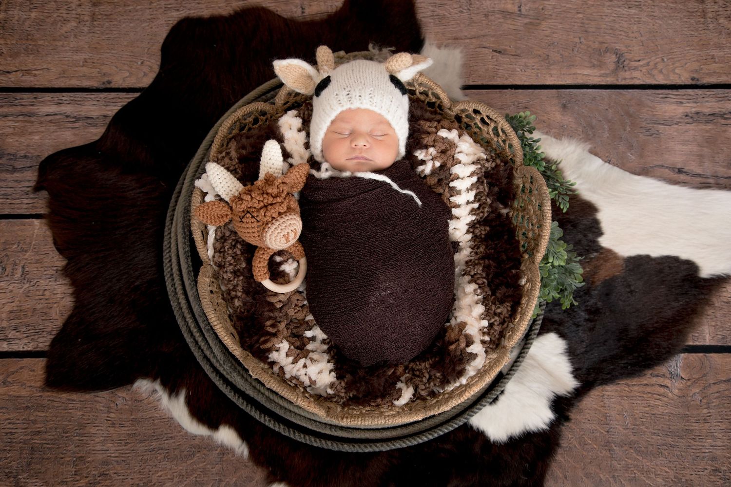 Newborn Studio Photography