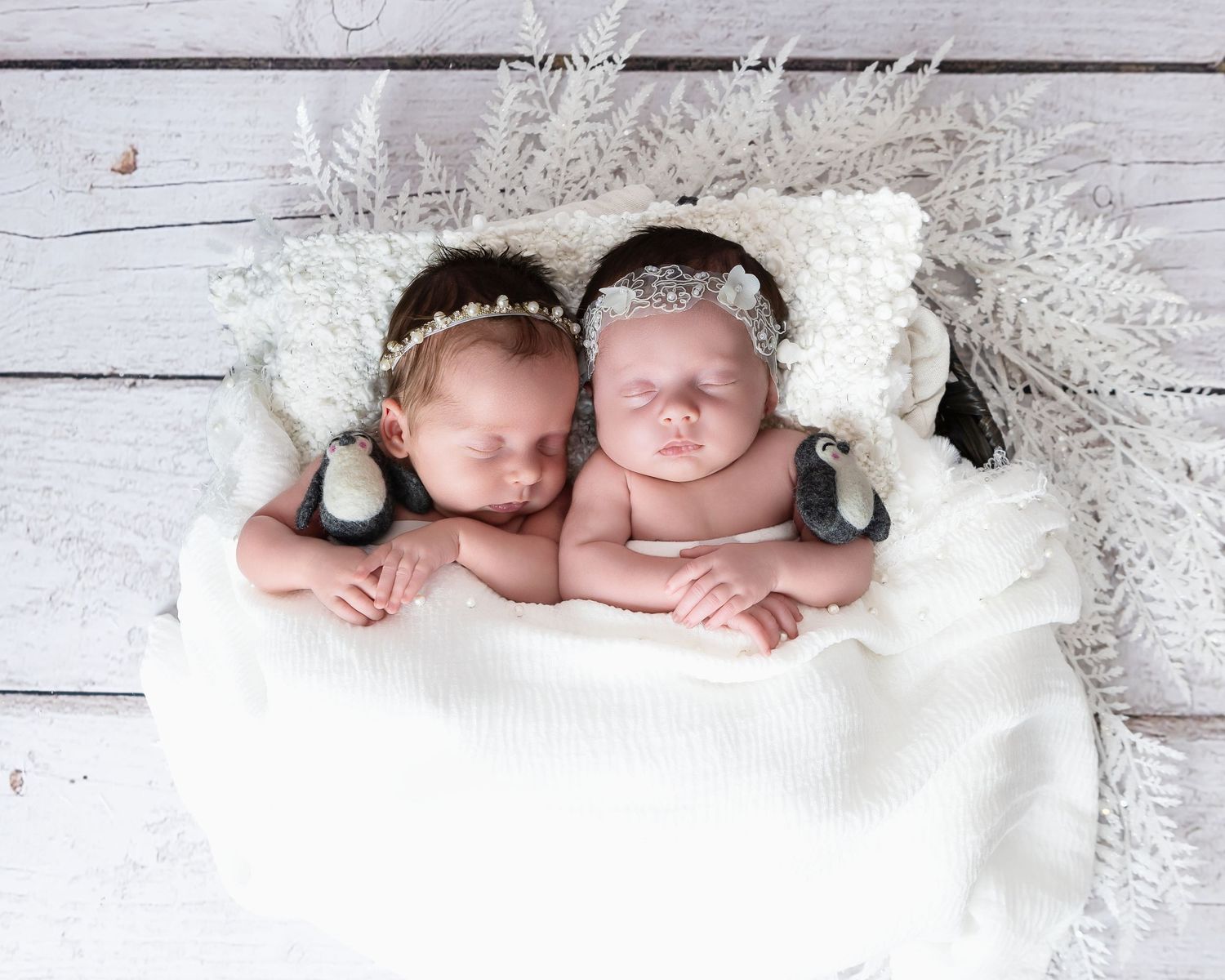 Newborn Studio Photography