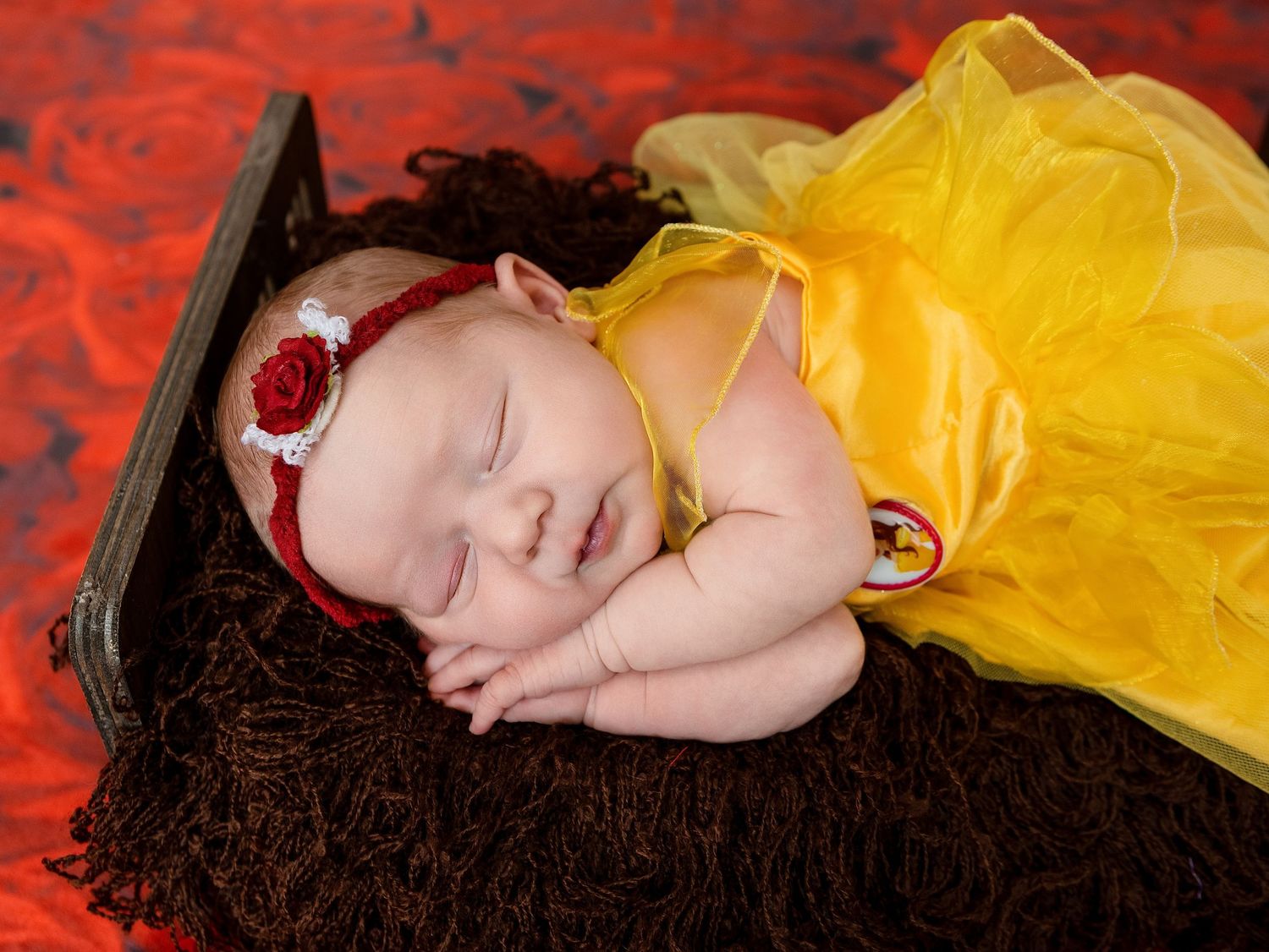 Newborn Studio Photography