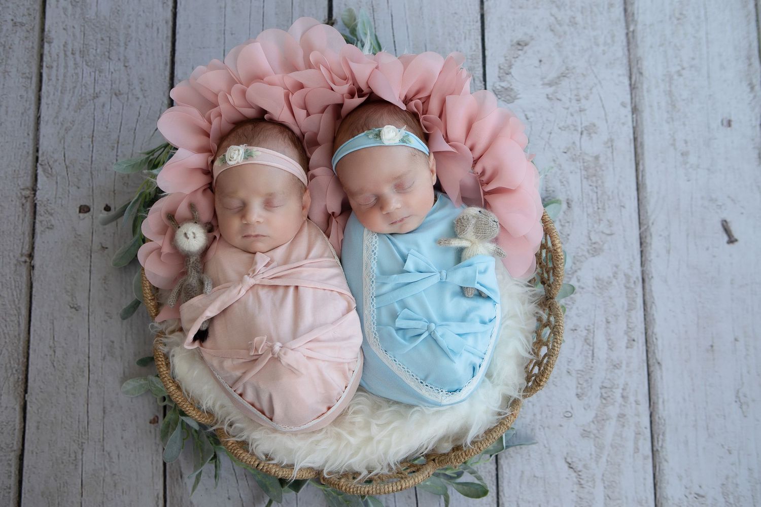 Newborn Studio Photography