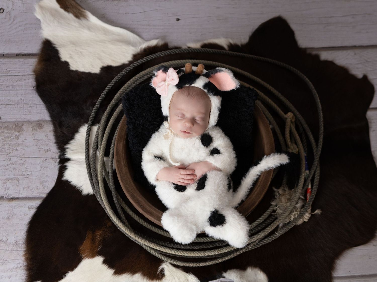 Newborn Studio Photography