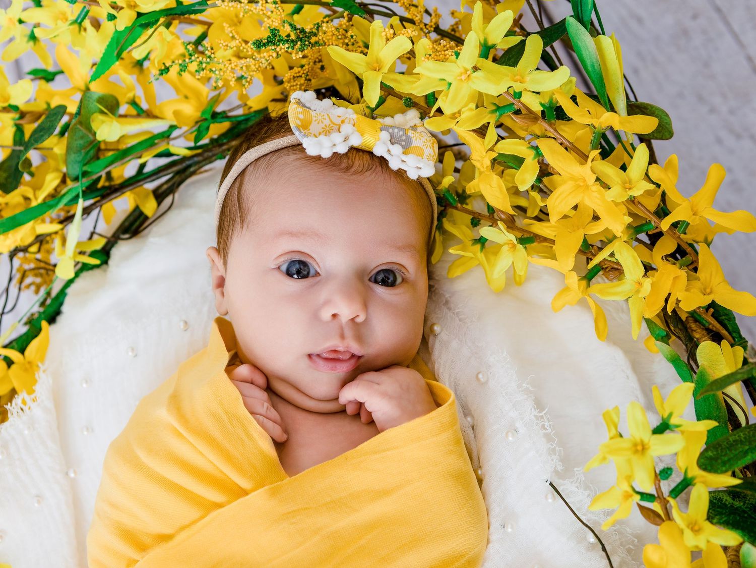 Newborn Studio Photography
