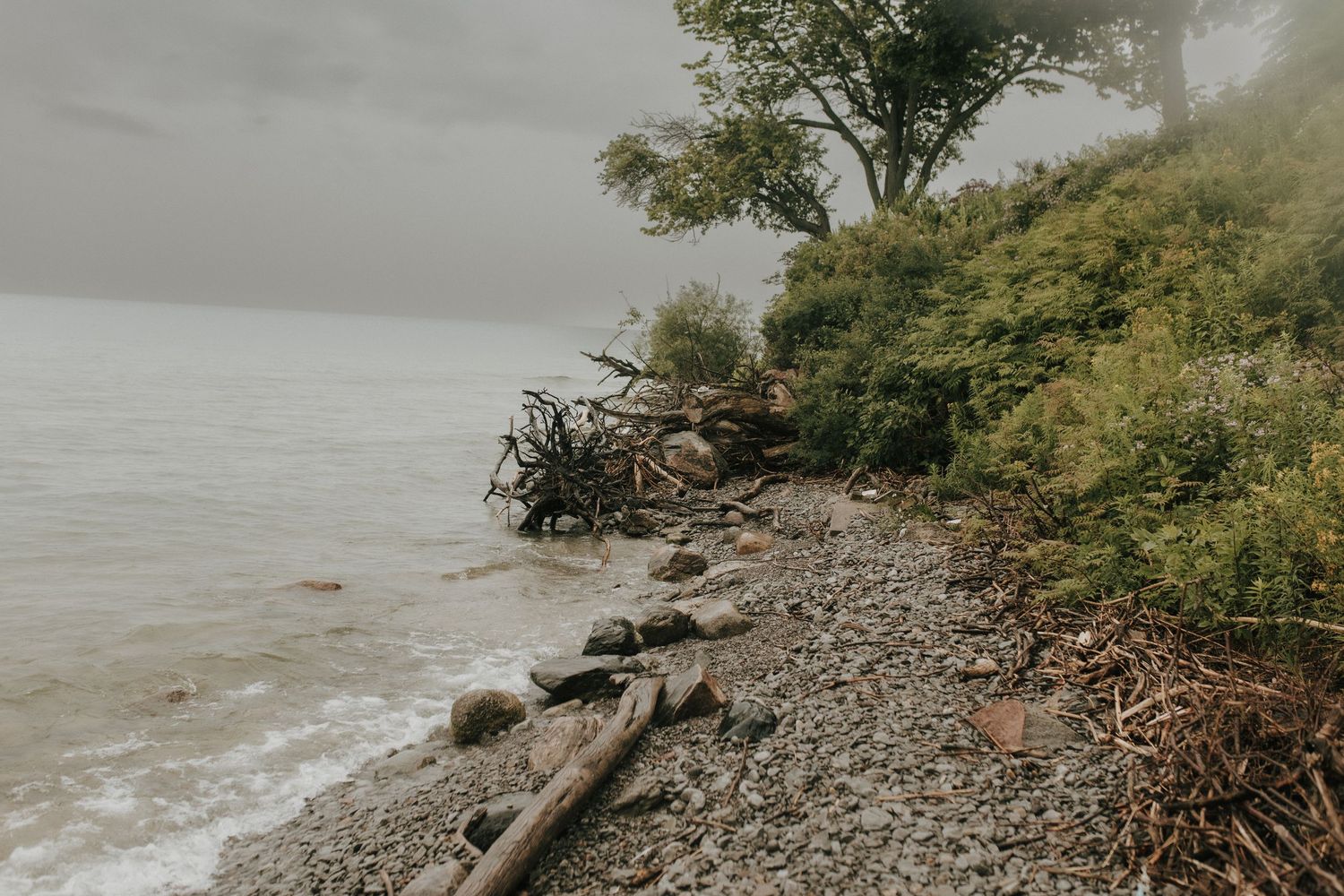 Moody deserted beach with lush foliage in Cobourg by Cobourg family photographer
