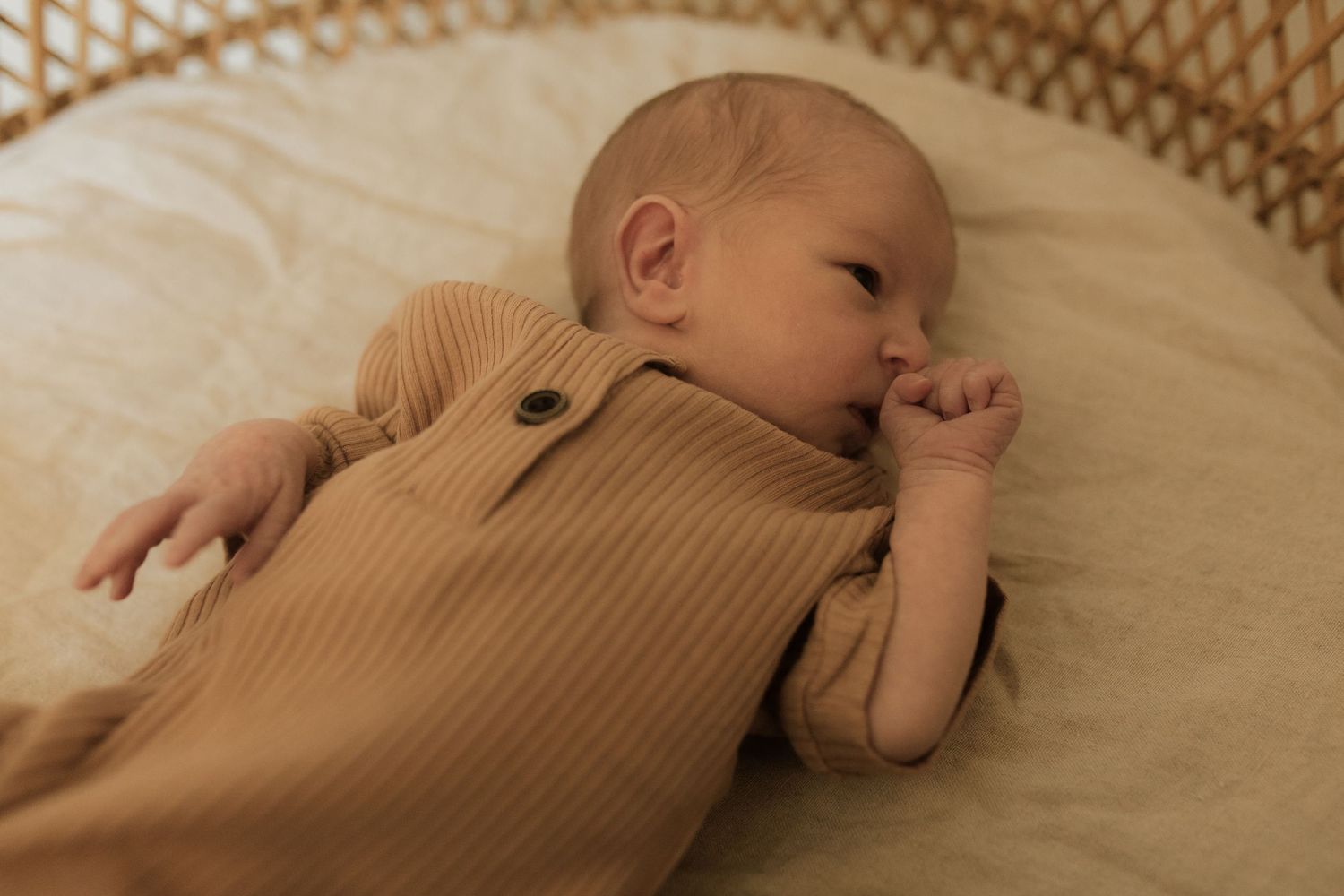 Newborn baby sleeping in a vintage bassinet by newborn photographer in Bowmanville, ON