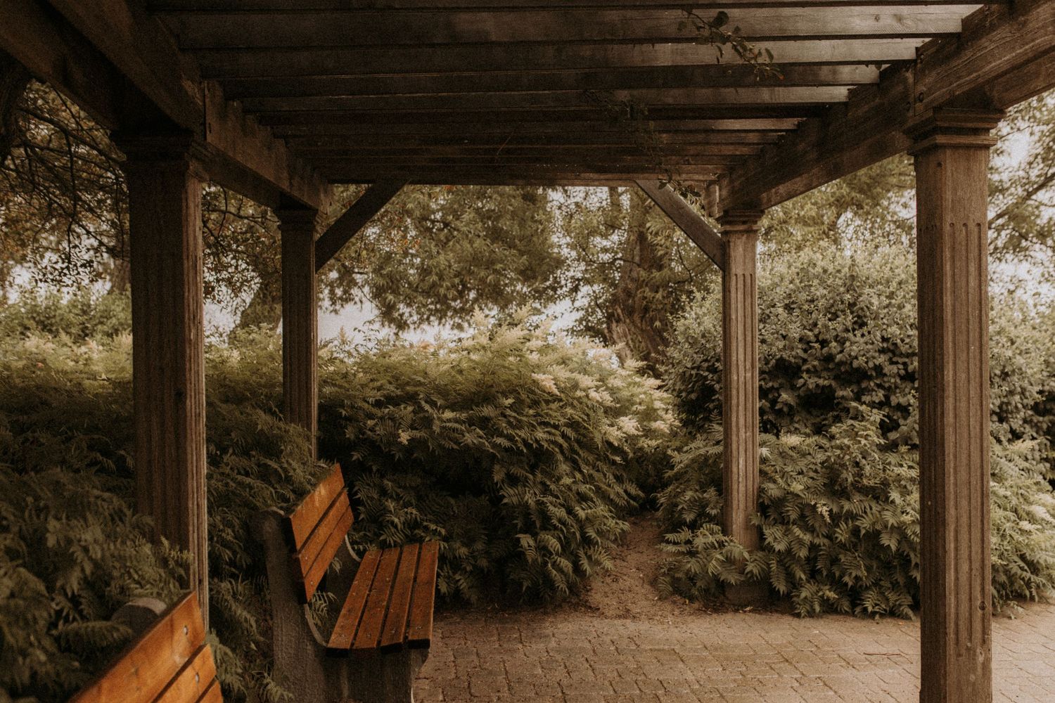 Gazebo at Cobourg beach by Cobourg family photographer