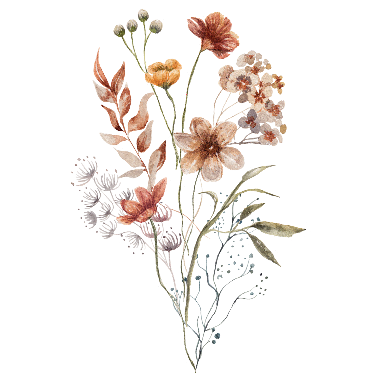 Delicate watercolor floral elements with pink and terracotta flowers, leaves, and botanical stems on white background.