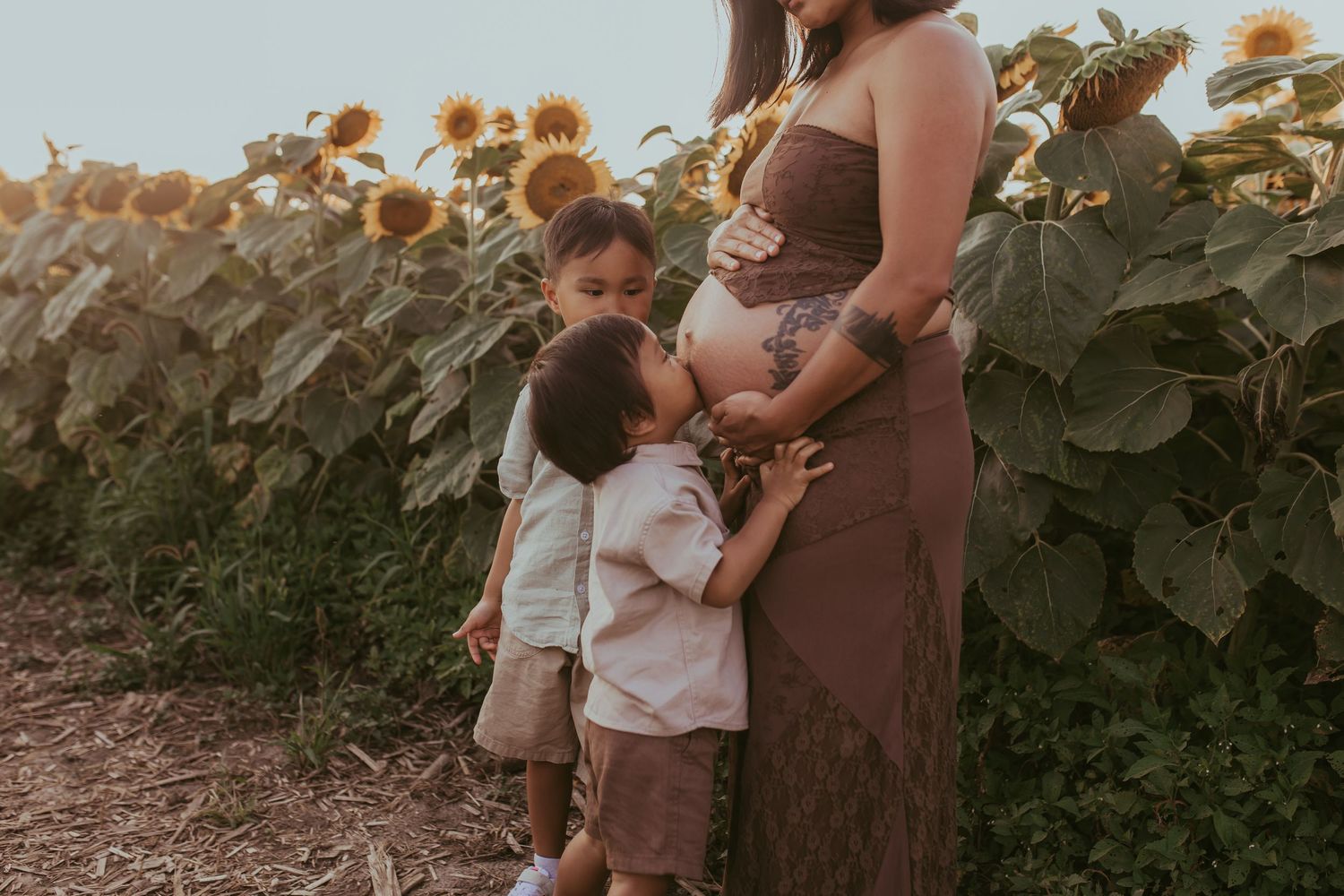 Photo of two young boys with their pregnant mom in a sunflower field during golden hour by Durham Region maternity photographer