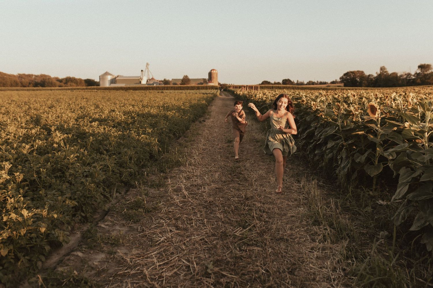 A wide-shot of a boy and girl running in the sunflower fields at Bragg's farm at sunset by Durham Region family photographer