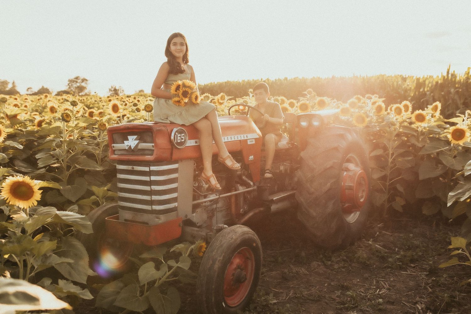 A photo of a girl sitting on an antique tractor in a sunflower field with a boy in the drivers seat by Durham Region family photographer