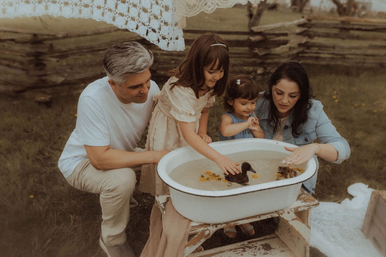 A young family playing with ducklings in an antique tub on a spring day by Durham Region maternity photographer