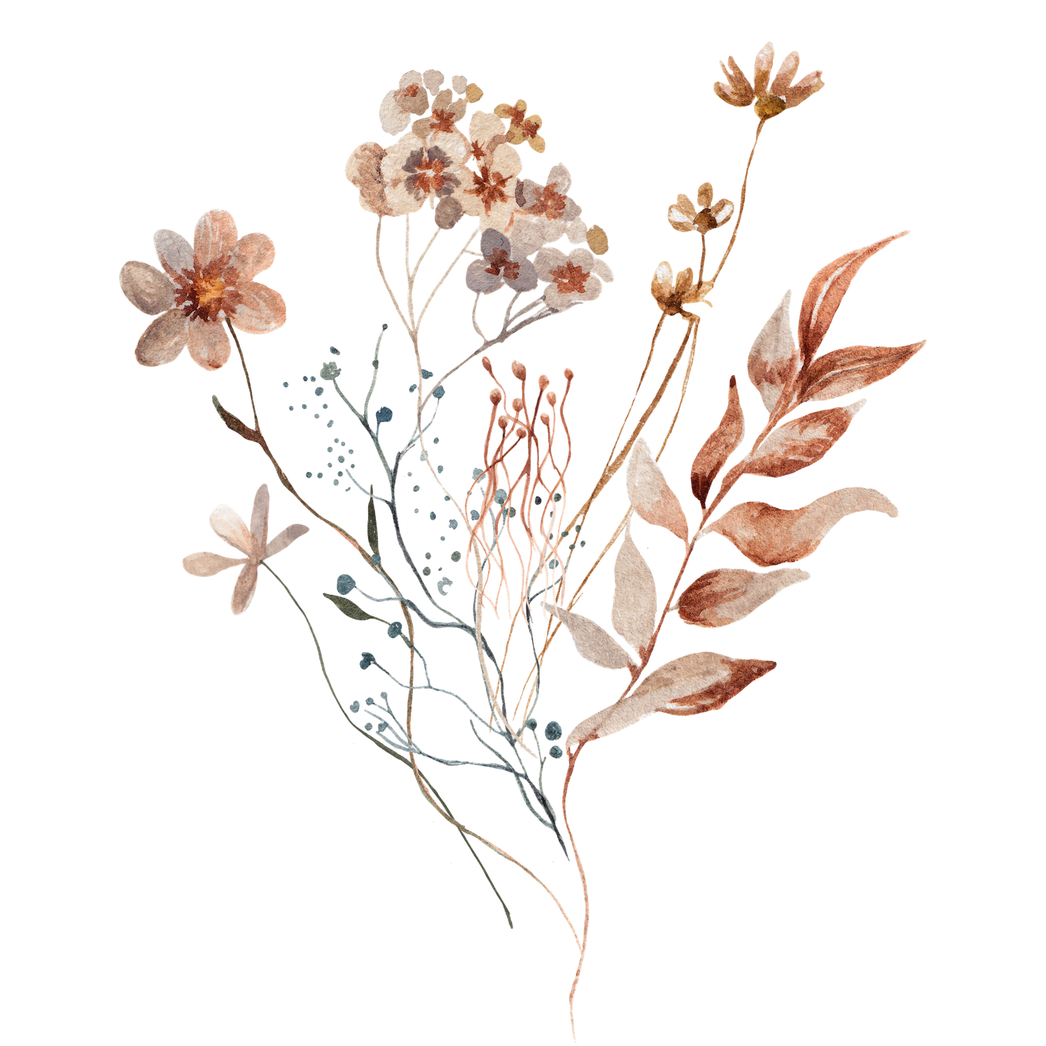 Delicate watercolor floral arrangement with peach and brown tones featuring dainty flowers and leaves in a loose botanical style.
