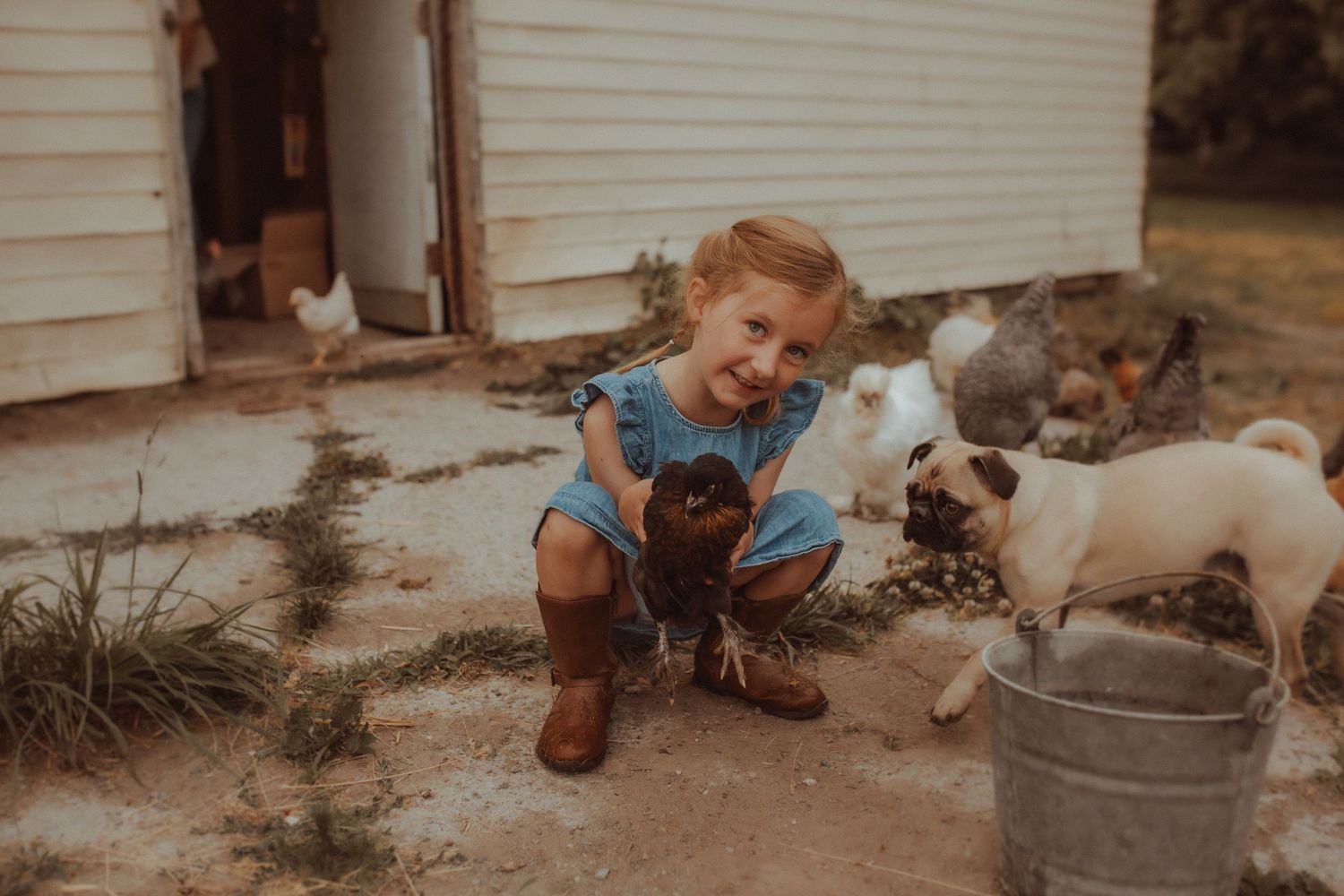 A little girl cuddles with her chickens in front of her chicken coop at her house taken by Port Hope, ON family photographer