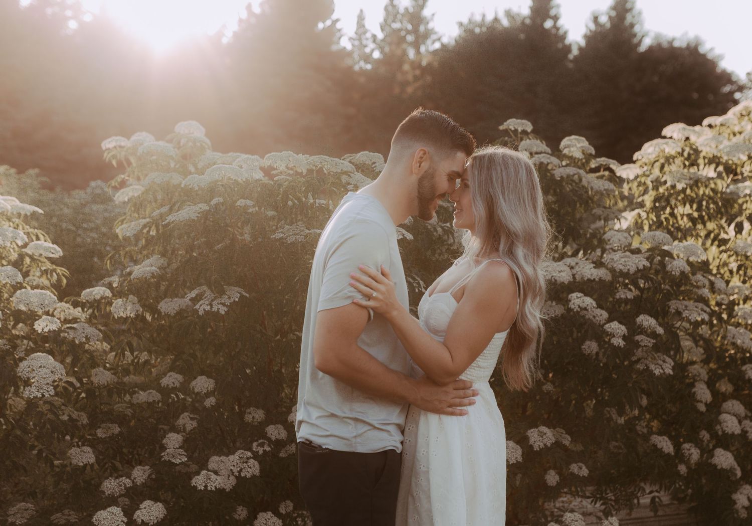 Golden sunlight streams across the happy couple as they nuzzle each other in front of white flowers by family photographer Bowmanville, ON