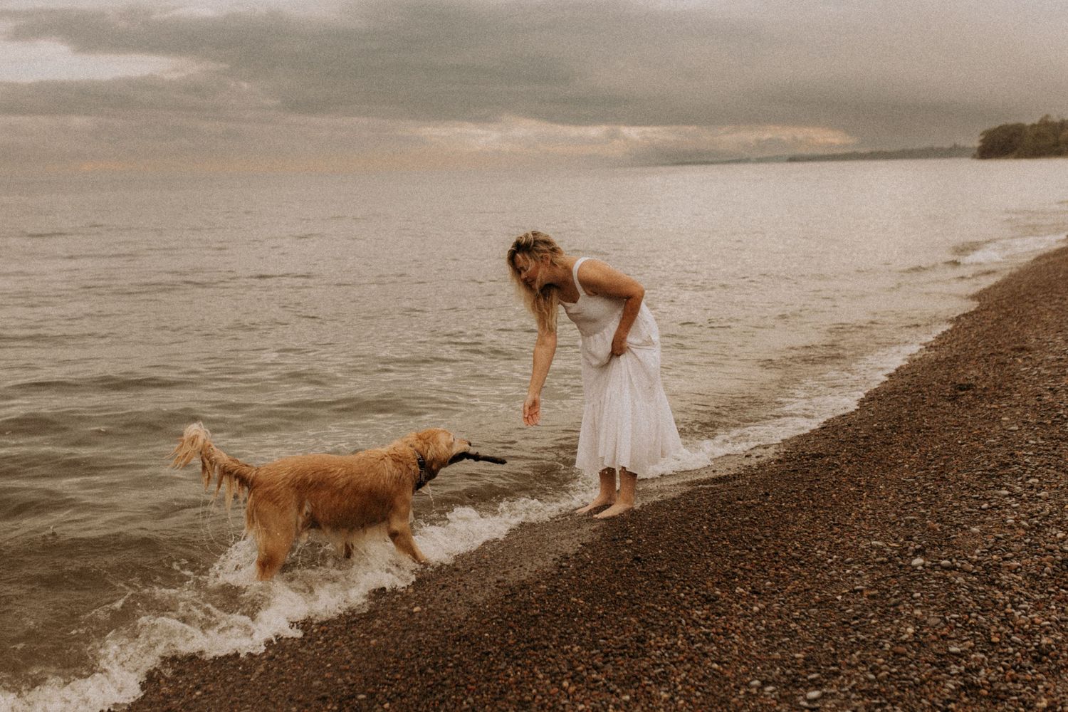 woman and dog playing with a stick at the waters edge on a moody beach by Cobourg family photographer