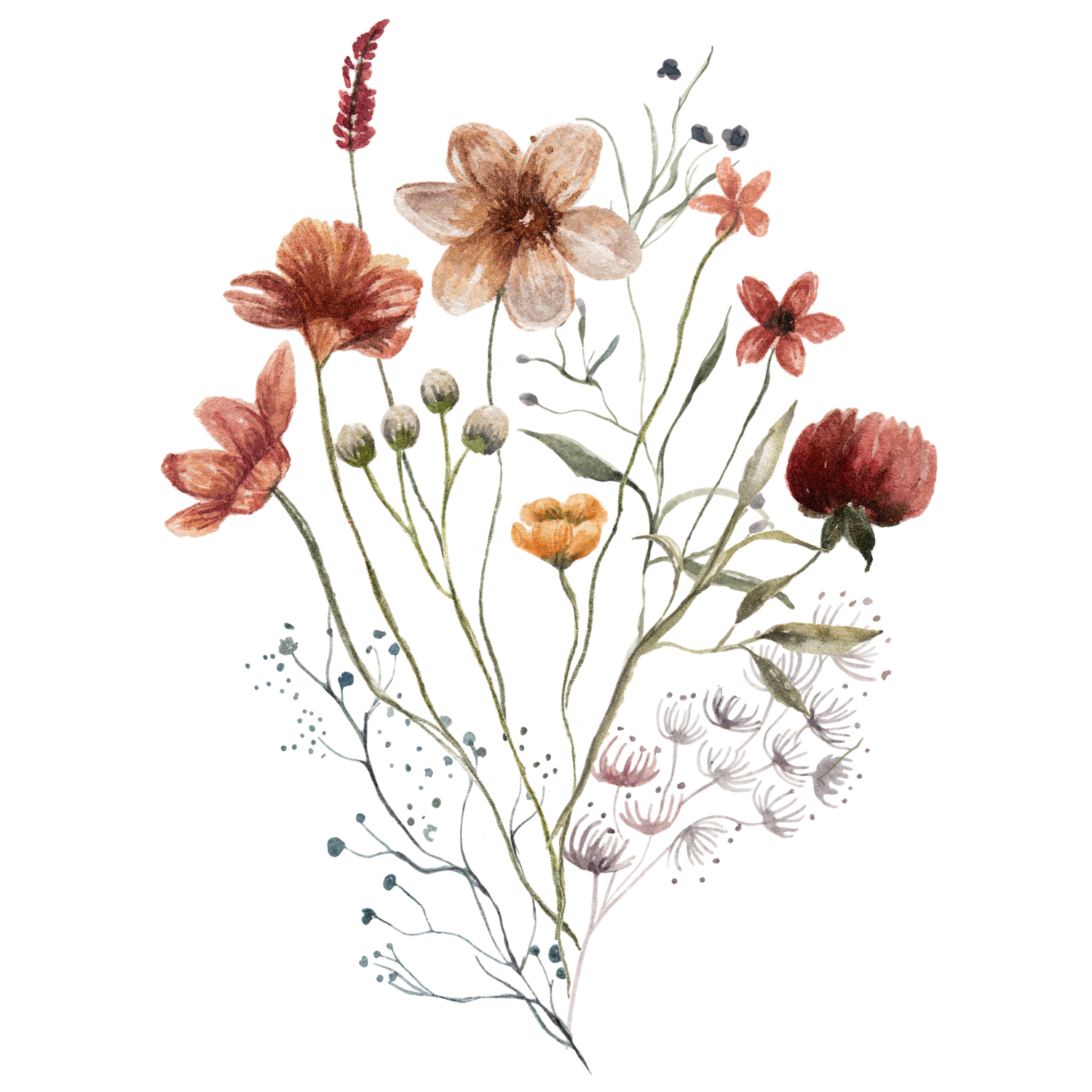 Delicate watercolor floral design with red, pink and peach flowers on white background with scattered botanical elements.