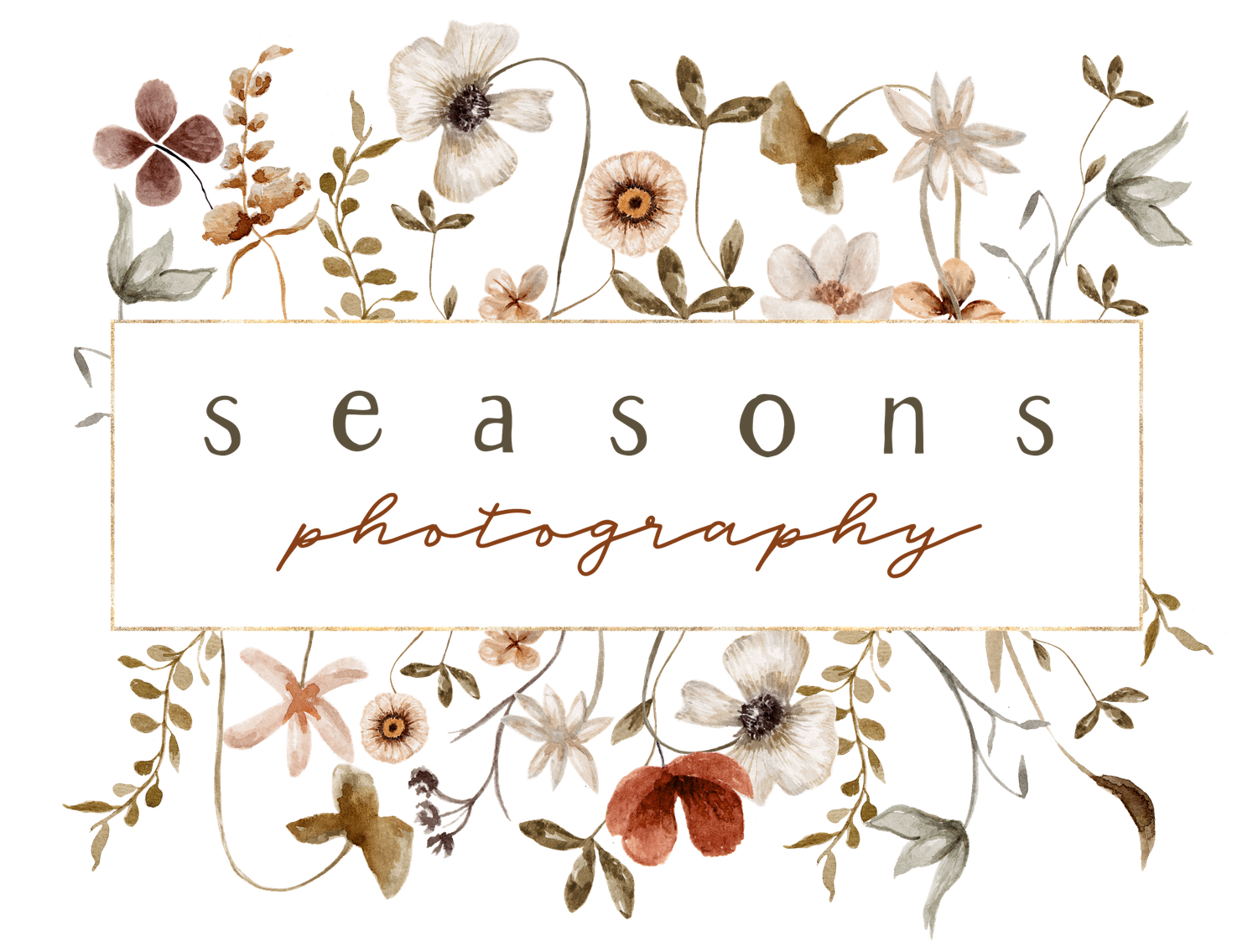 Delicate floral banner design with brown and beige watercolor flowers, leaves, and text reading 'seasons photography'.
