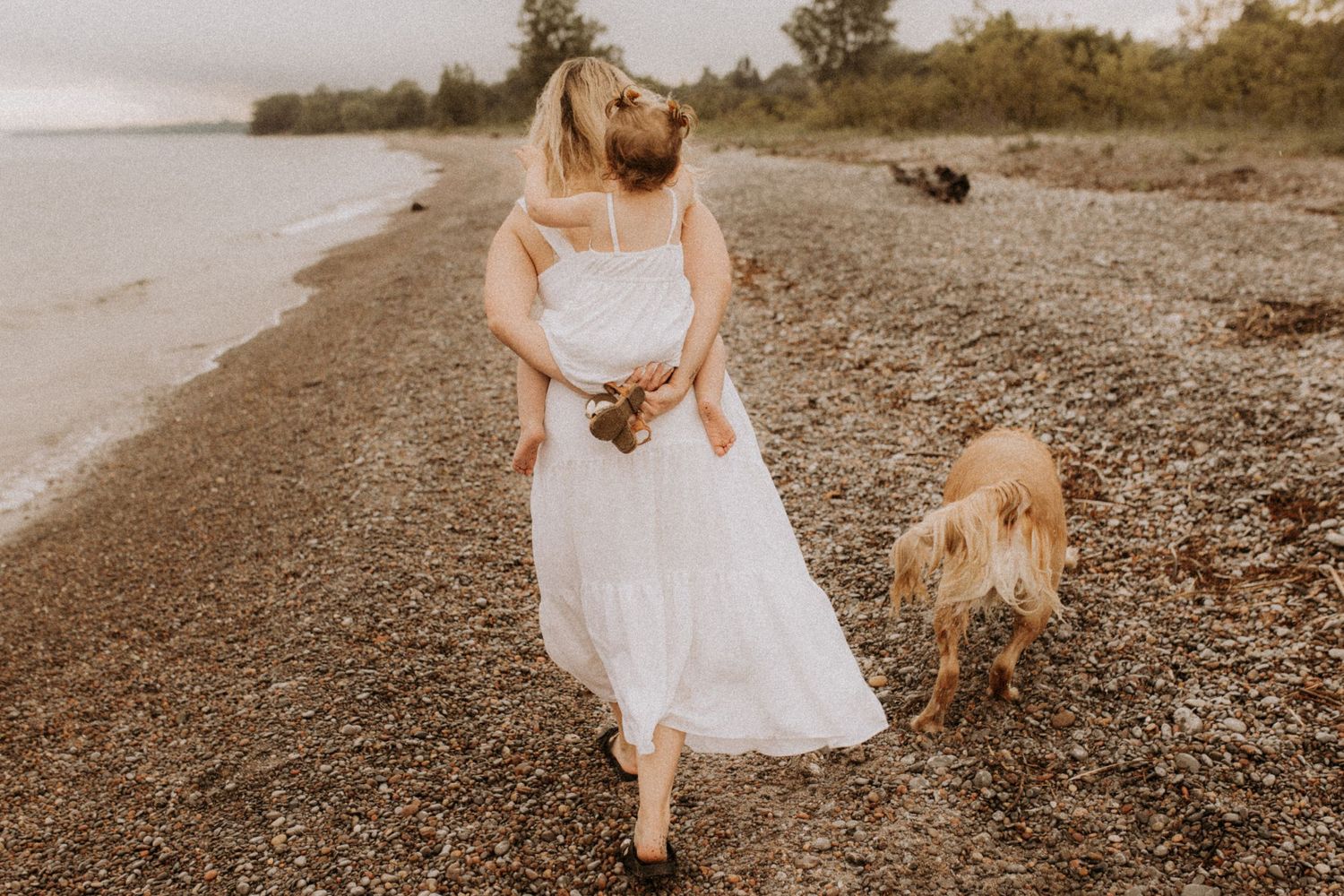 Mom, daughter, and dog walking together along the rocky shore of a moody beach by Cobourg family photographer