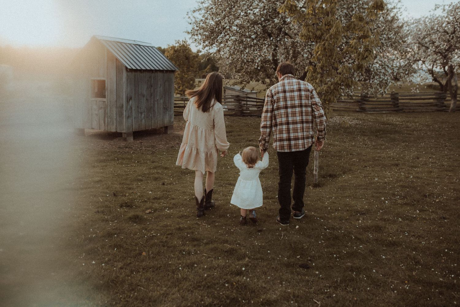 A mom and dad holding their toddle's hands as they walk towards an old barn in an apple orchard  by Courtice, ON family photographer