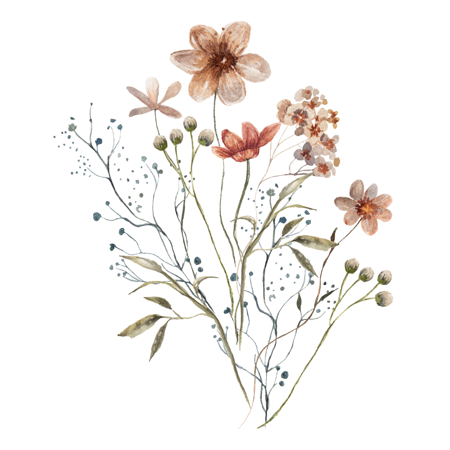 Delicate watercolor illustration of pink and peach flowers with green stems and buds on white background.