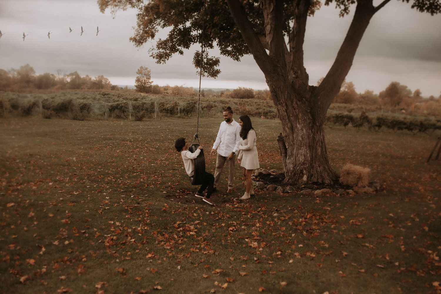 Family on playing on a tire swing on an autumn moody day on a farm with geese flying in the air by Bowmanville, ON family photographer.