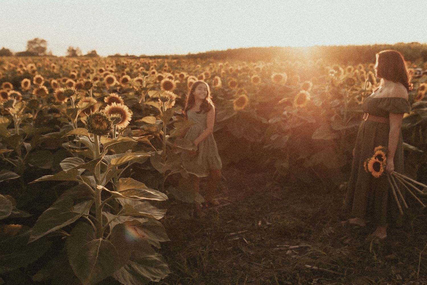 A glowy sunset shot in a sunflower field with a teenage daughter dancing as her mom looks on by Durham Region family photographer