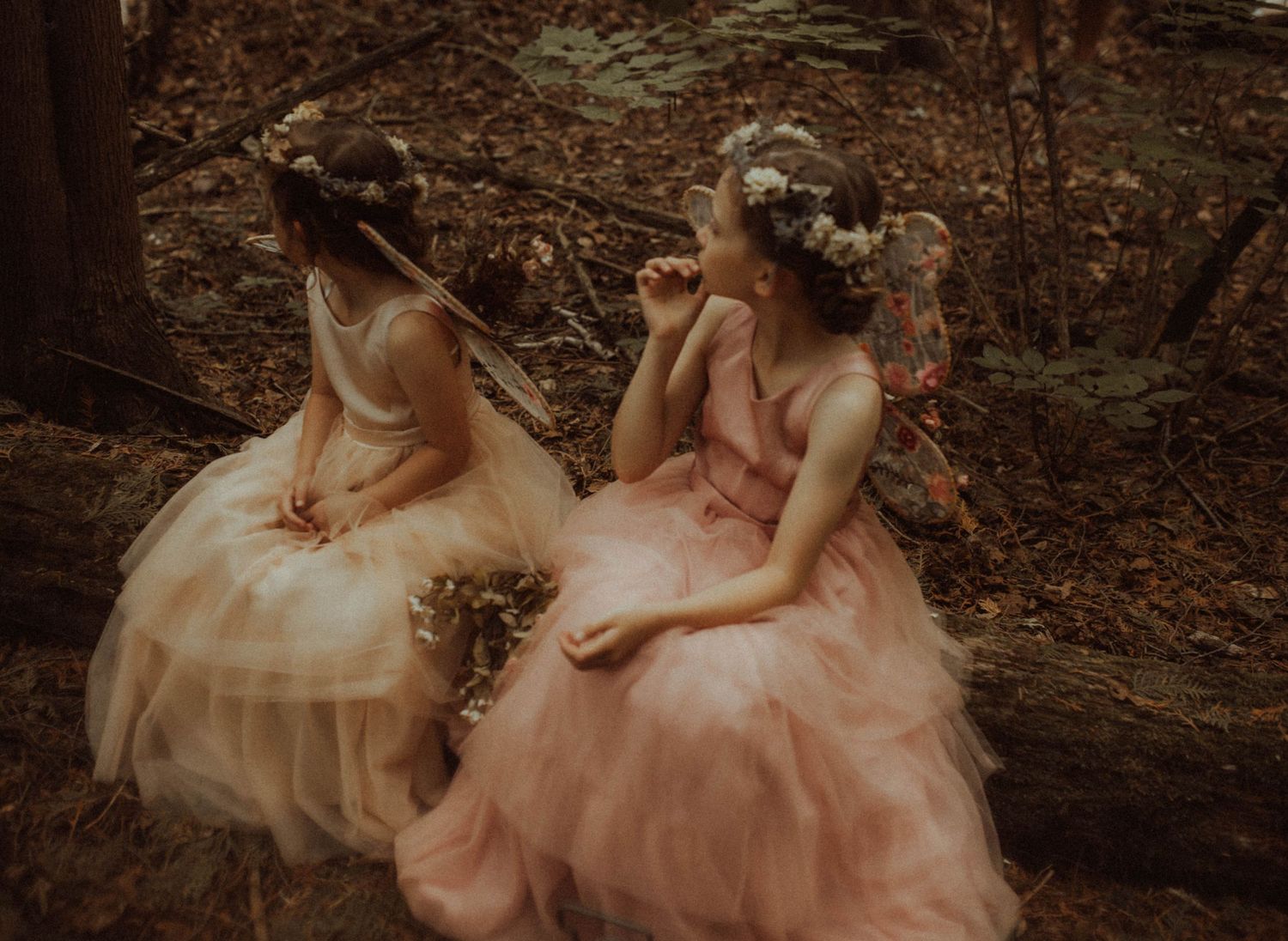 Magical photoshoot of two fairies sitting on a log in a forest by Bowmanville, ON family photographer.