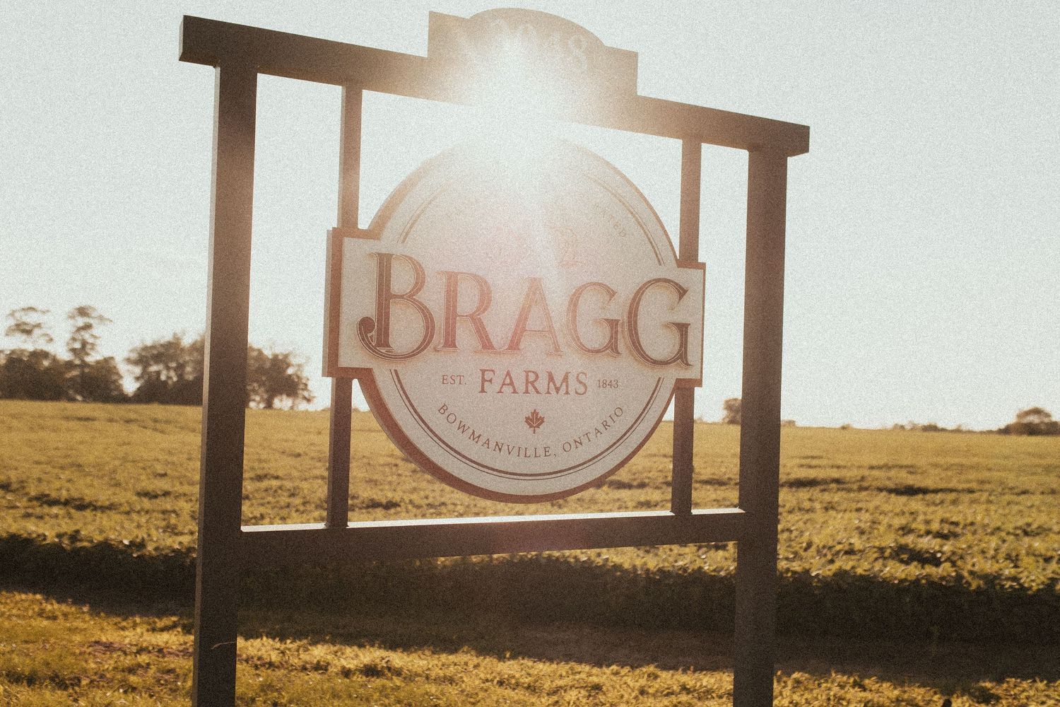 A photo of the Bragg's Farm sign in summer by Durham Region family photographer
