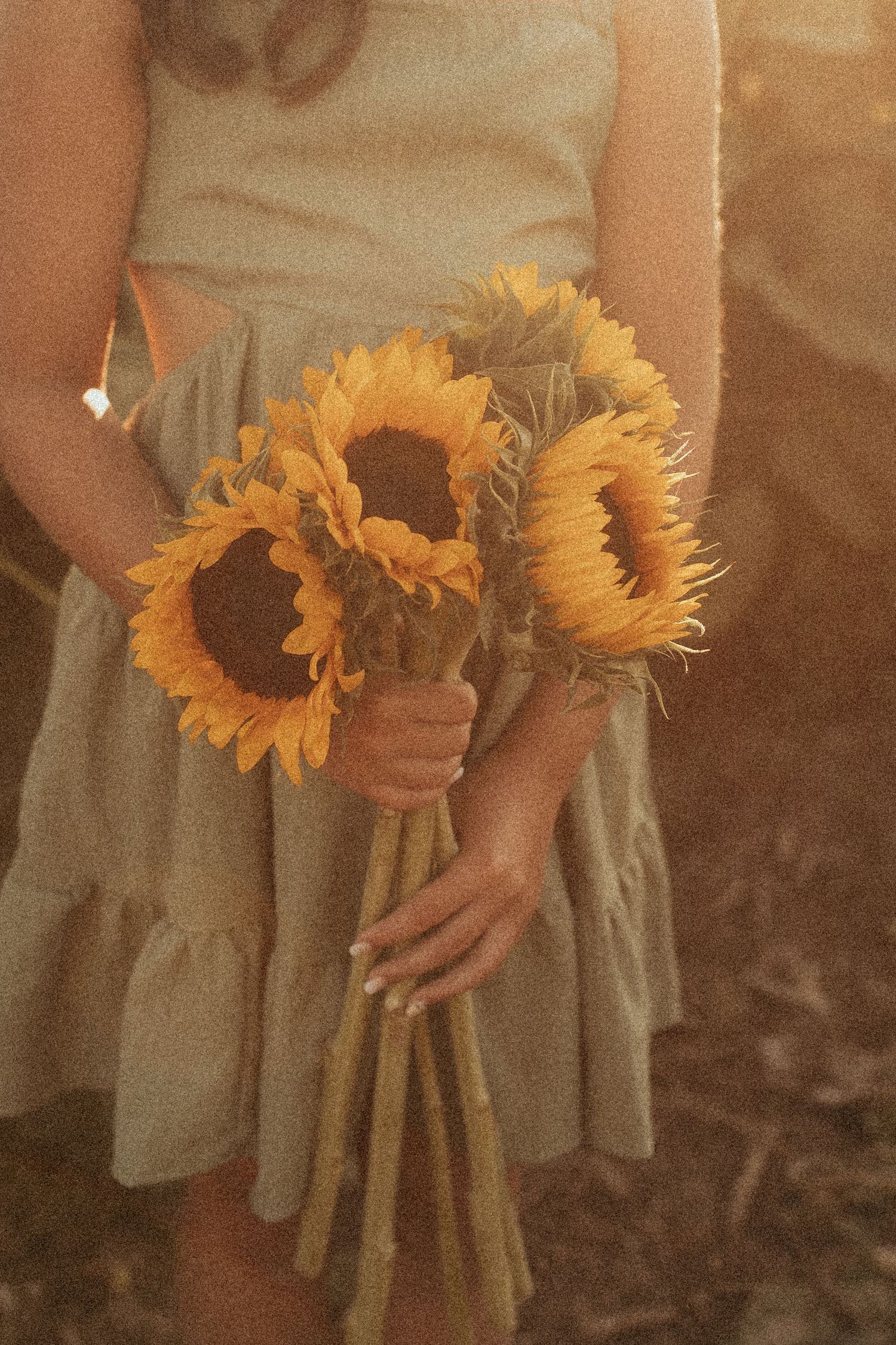 A cropped photo of a girl holding a bouquet of sunflowers in soft, golden light by Durham Region family photographer