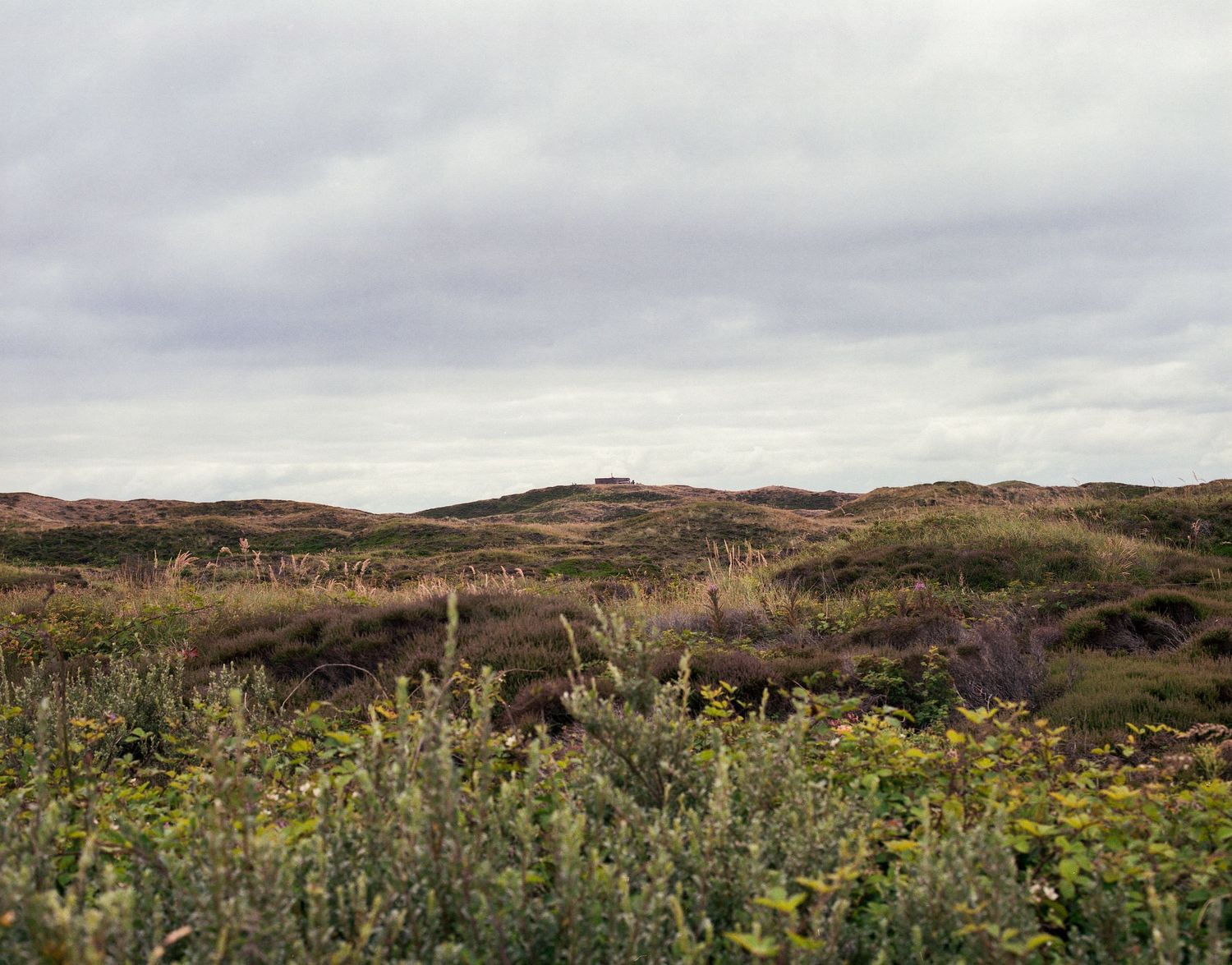 Heath landscape of Schiermonnikoog divided in half: overcast sky, somewhat rolling landscape full of greenery and WW2 bunker dead center.