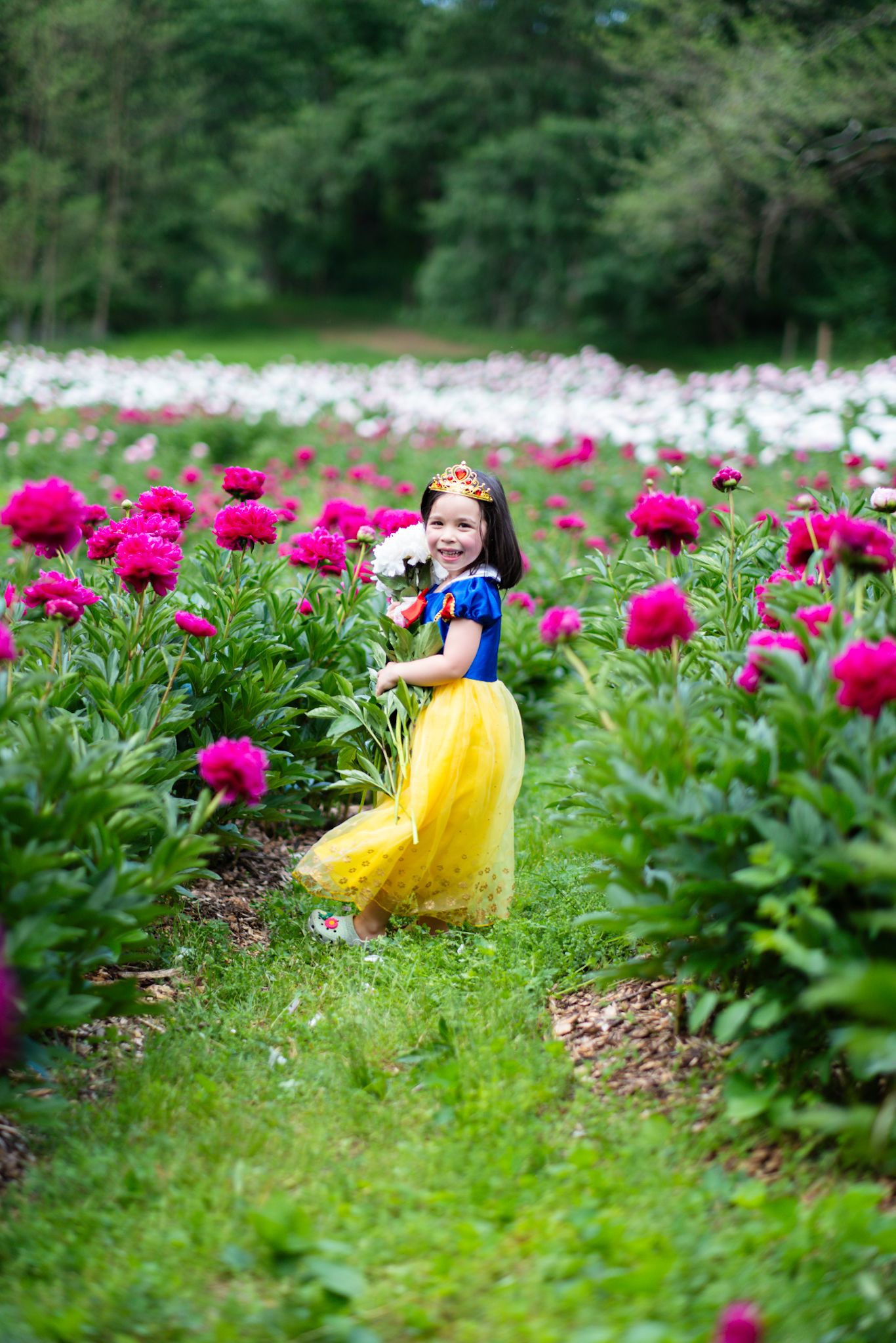 A little girl in a Snow White costume smiles in a vibrant peony garden holding white flowers.