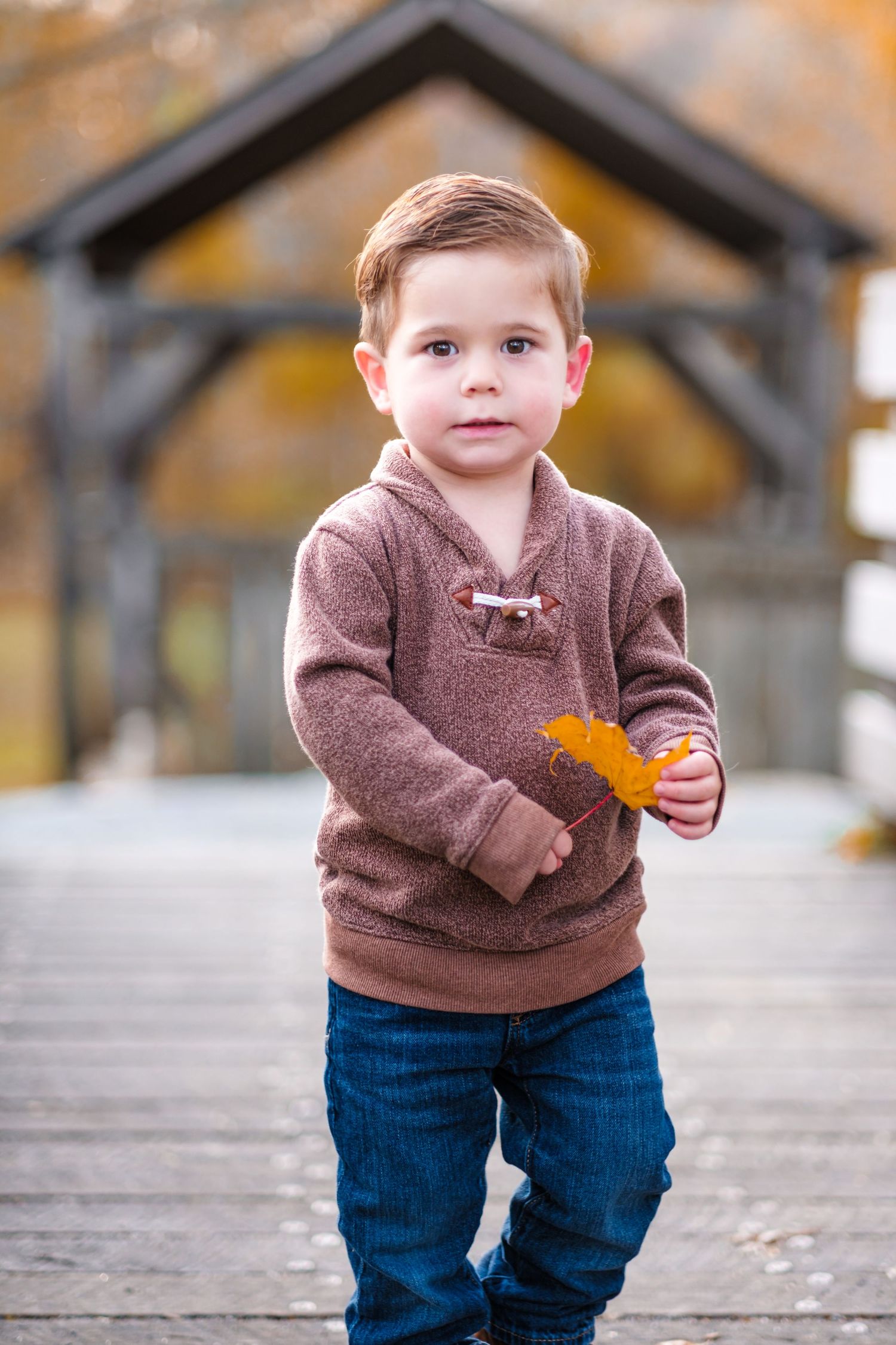 Adorable toddler boy in brown sweater and jeans holds an autumn leaf while standing on a wooden bridge outdoors.