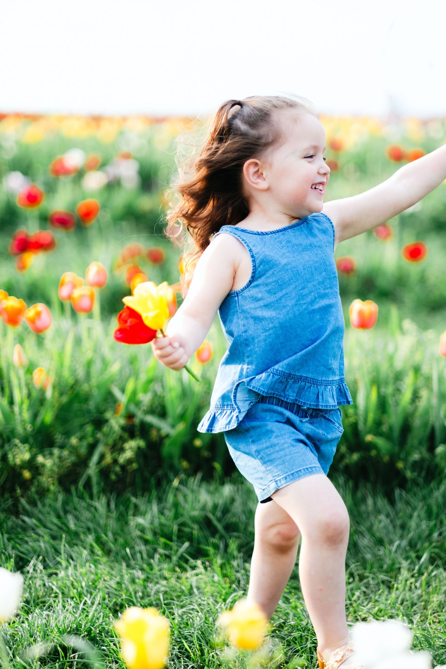 Joyful little girl in blue denim dress dancing in colorful tulip field holding red and yellow flowers.