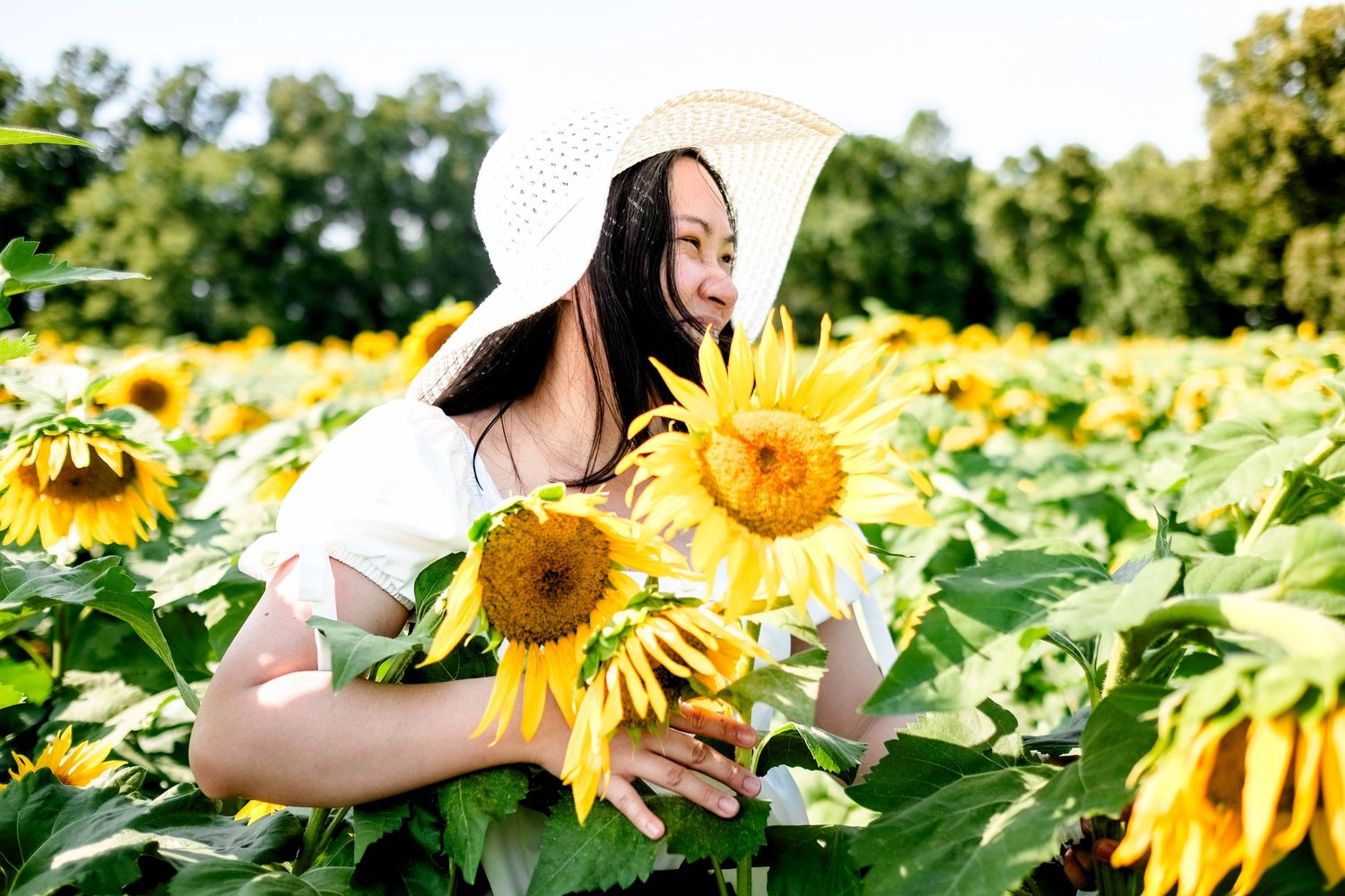 Woman in white hat and dress smelling sunflowers in a vibrant yellow sunflower field on a sunny day.