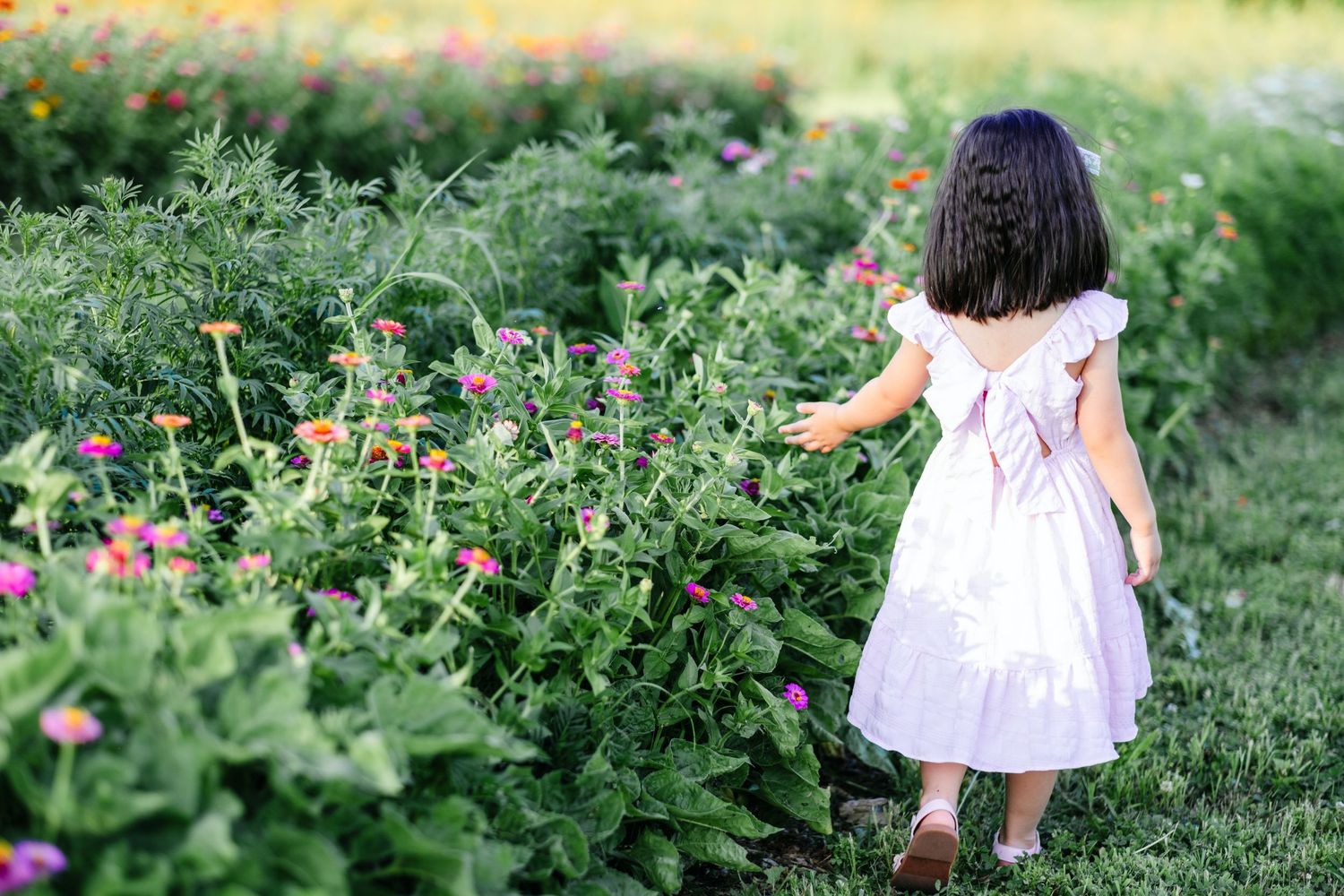Young girl in white dress with bow exploring a vibrant flower garden with pink and orange blooms.