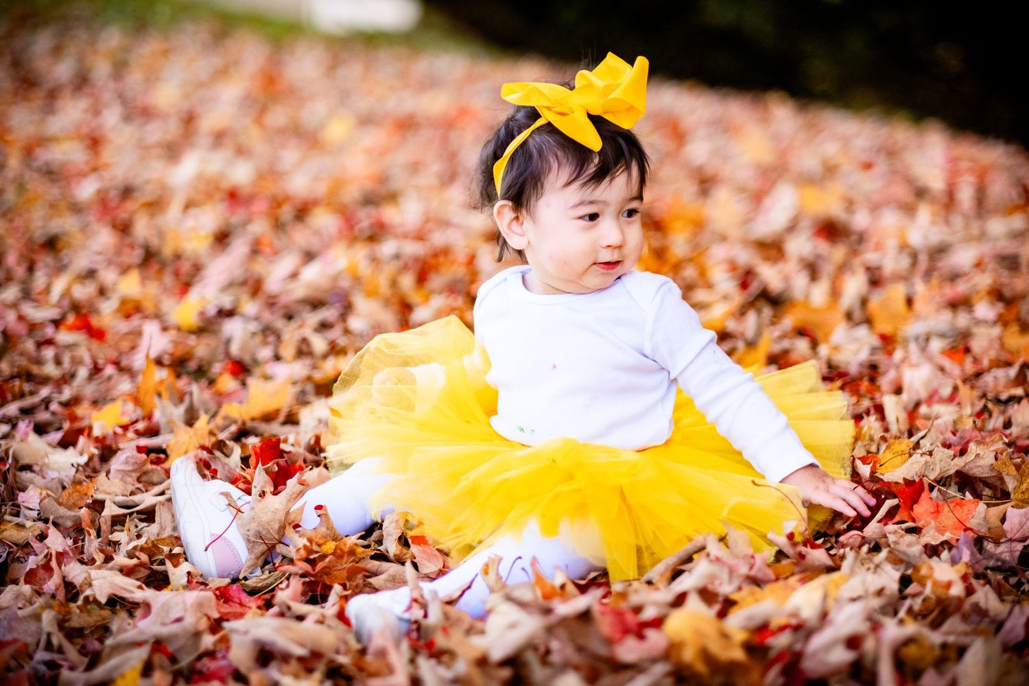 A toddler in a yellow tutu and bow headband sits in autumn leaves outdoors.
