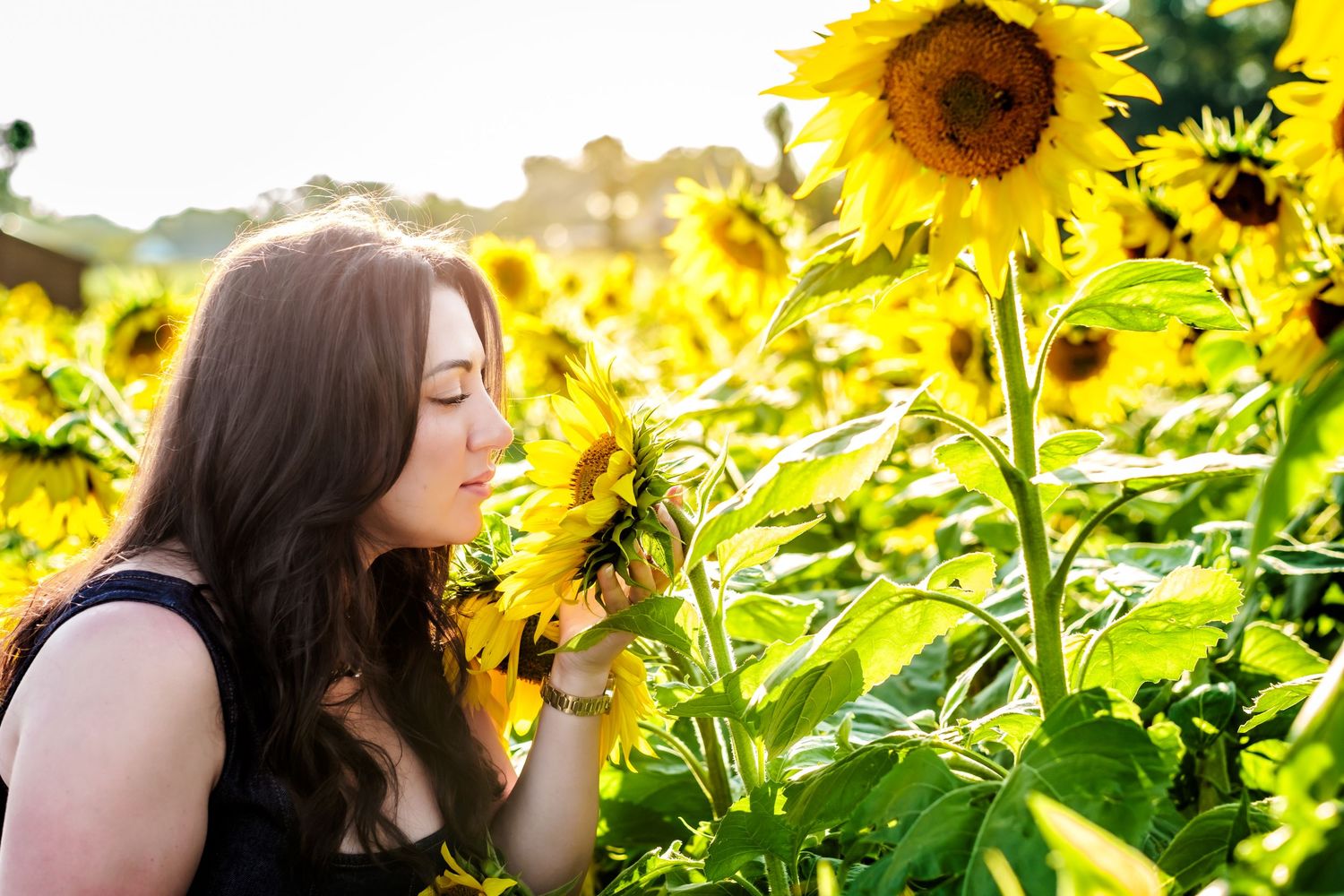 Young woman with dark hair smelling a sunflower in a vibrant sunflower field on a sunny day.