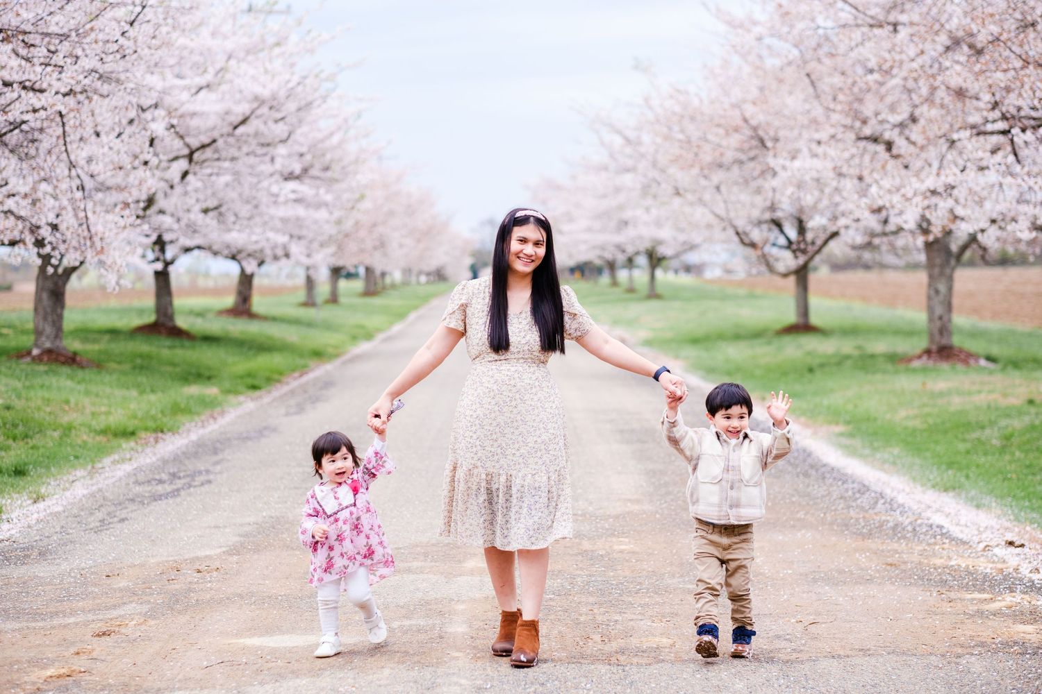 People walking under blooming cherry blossom trees in a park during springtime.