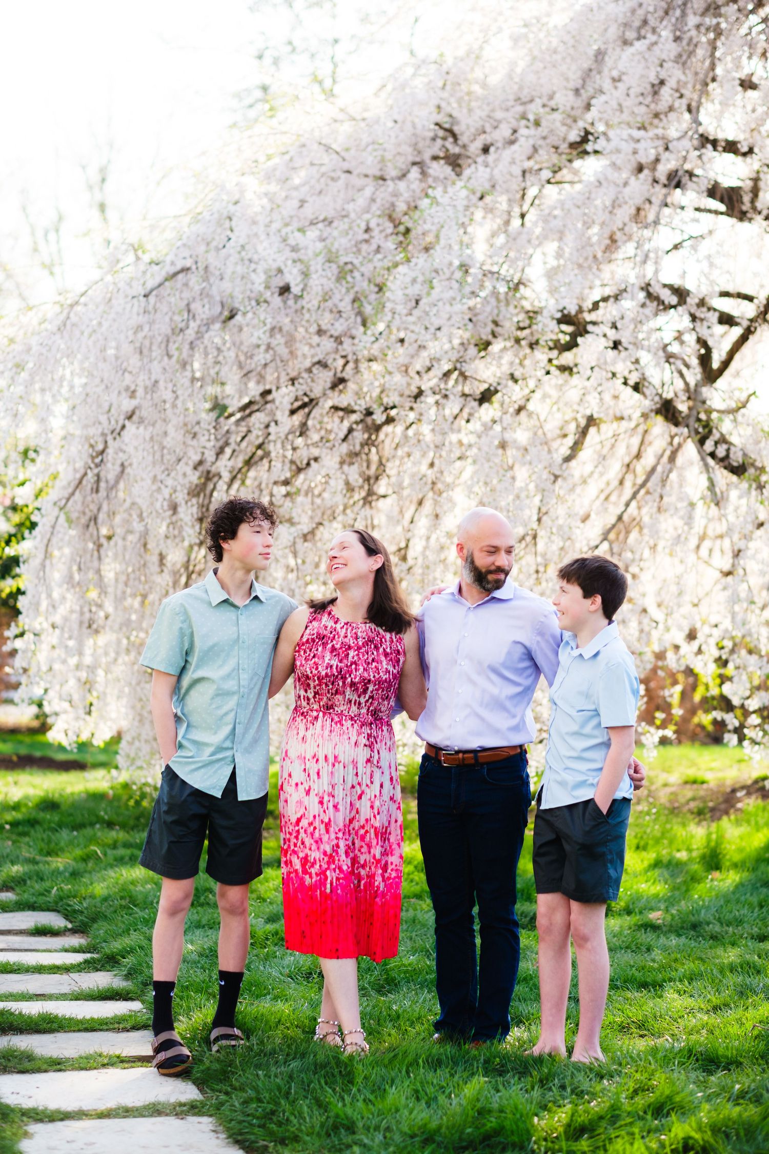 Family of four smiling together under blooming white cherry blossom trees on a green lawn in spring.